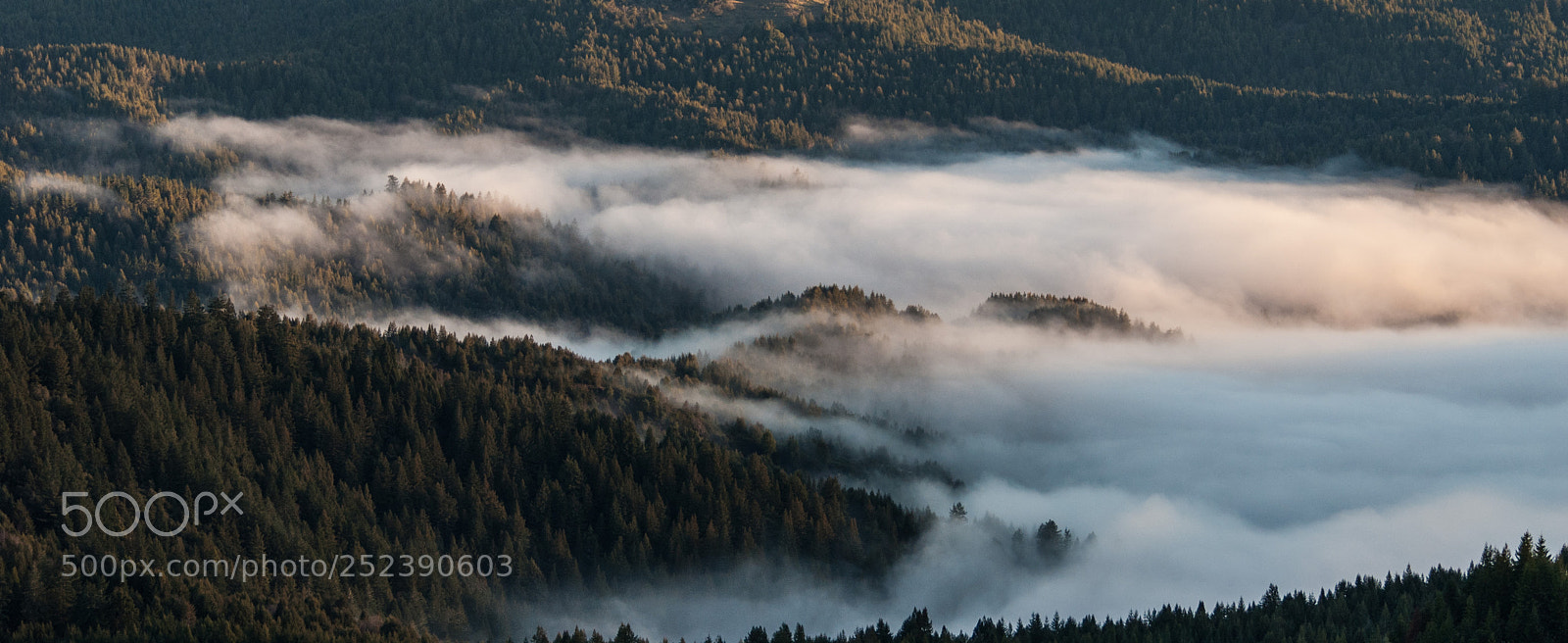 Nikon D200 sample photo. Morning fog at top photography