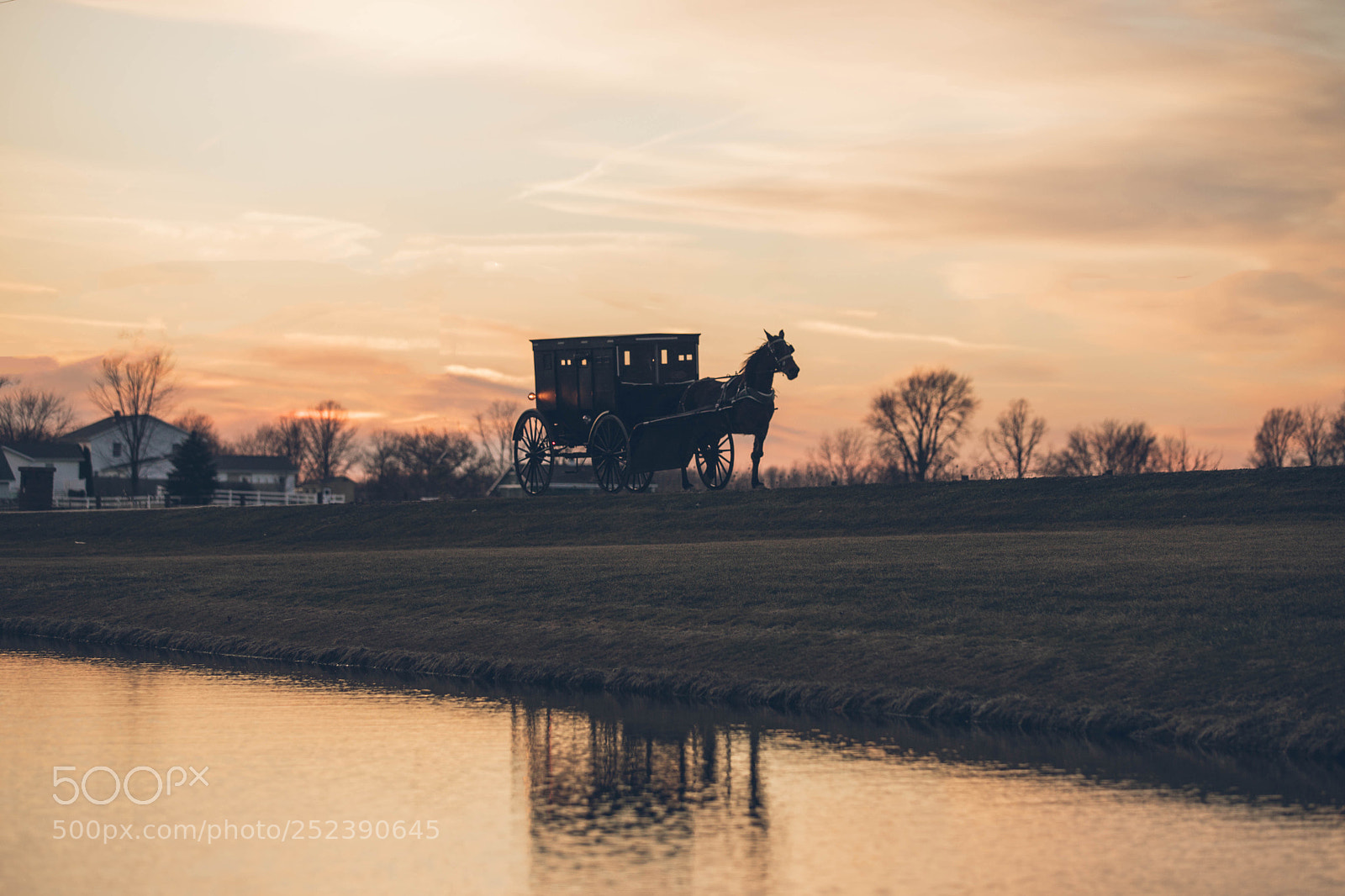 Canon EOS 6D Mark II sample photo. Buggy photography
