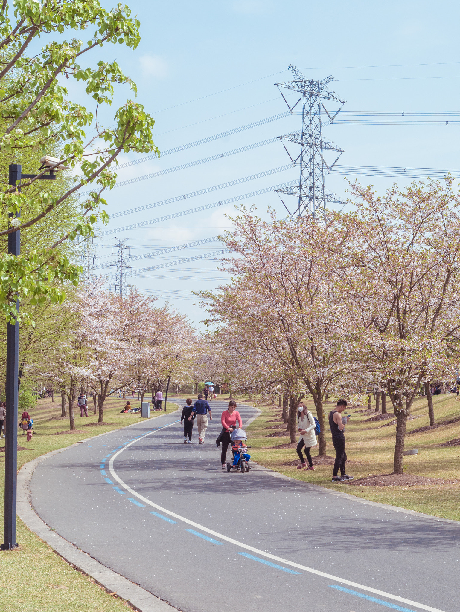 Panasonic Lumix DMC-GX85 (Lumix DMC-GX80 / Lumix DMC-GX7 Mark II) sample photo. 三月 photography