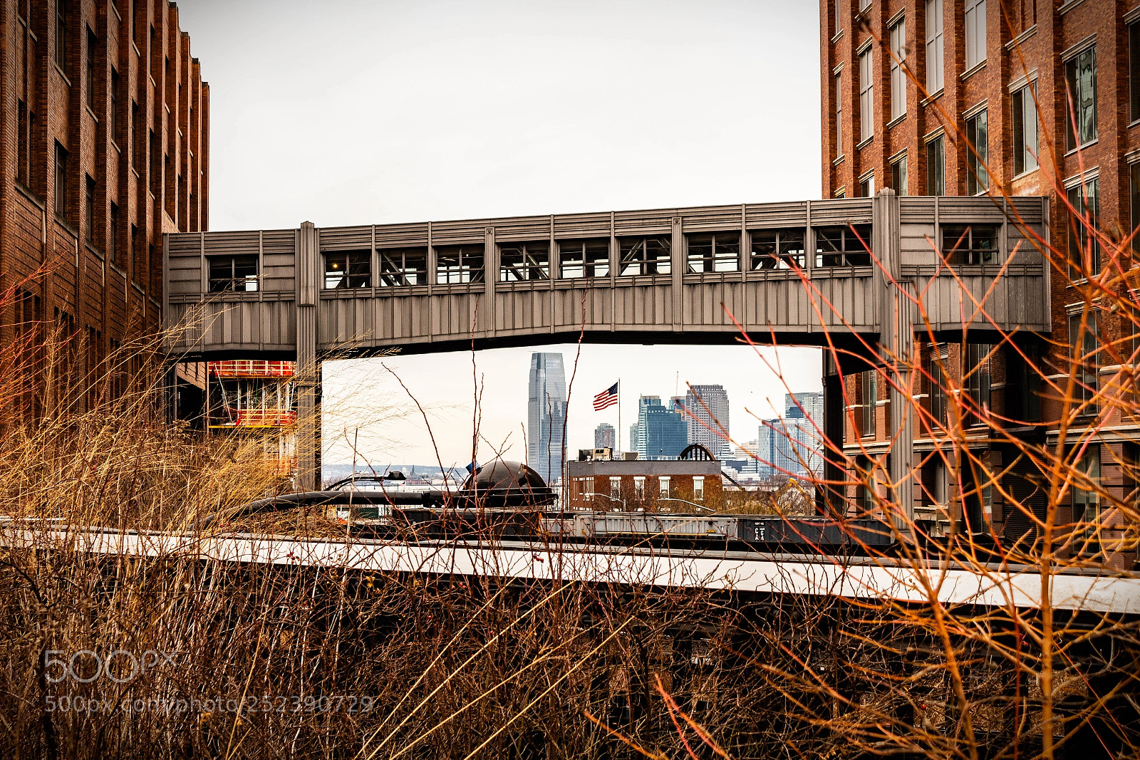 Canon EOS 1300D (EOS Rebel T6 / EOS Kiss X80) sample photo. High line new york photography