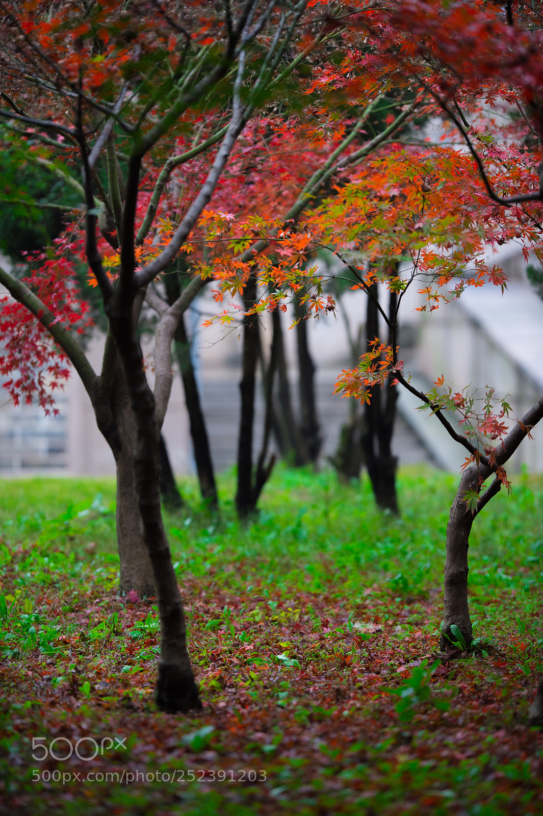 Nikon D4 sample photo. Untitled photography