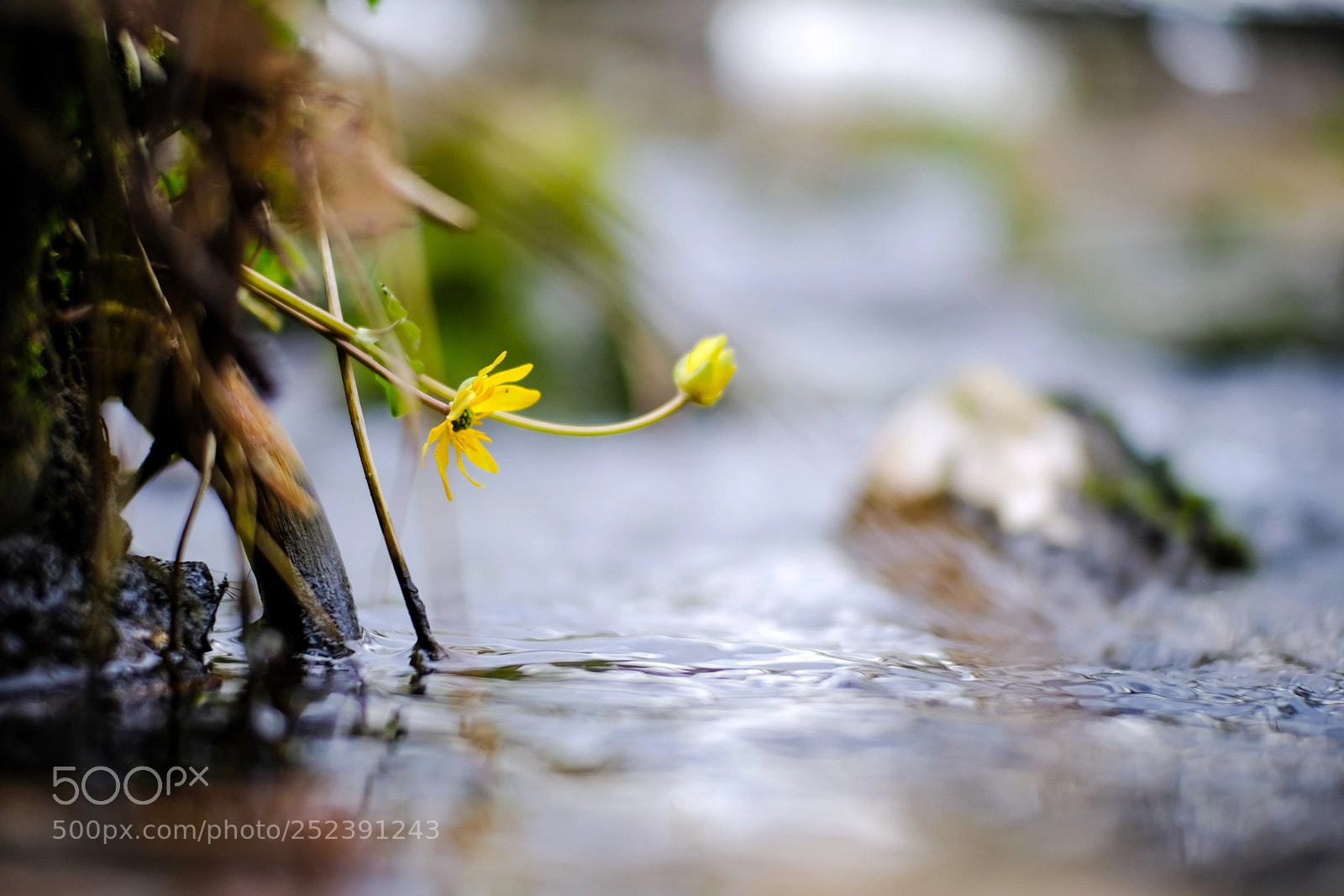 Fujifilm X-T20 sample photo. 'panta rhei' photography