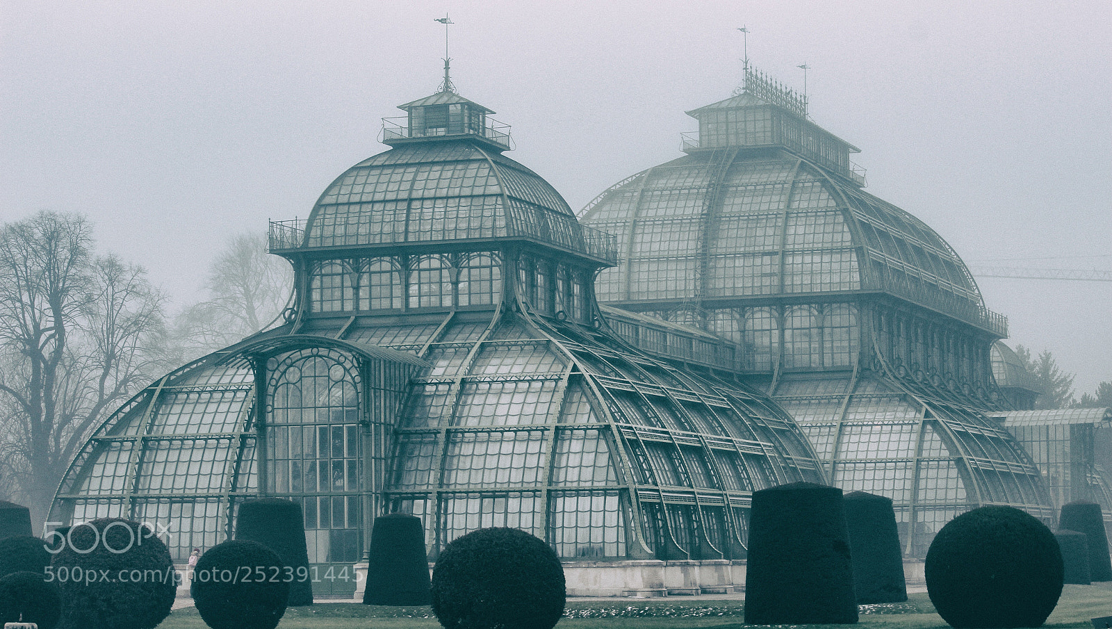 Canon EOS 600D (Rebel EOS T3i / EOS Kiss X5) sample photo. Greenhouse photography