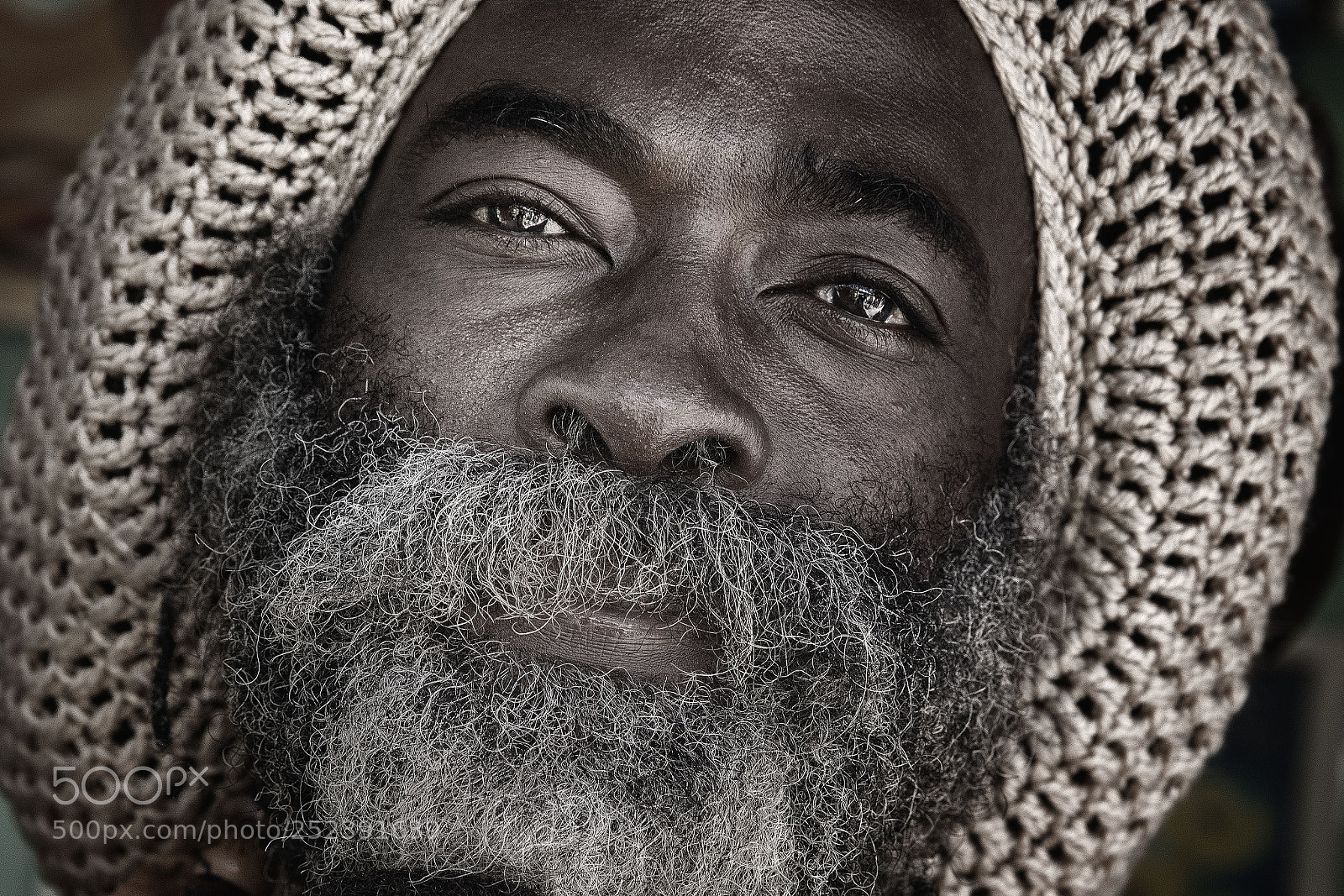 Canon EOS 5DS R sample photo. Close photography