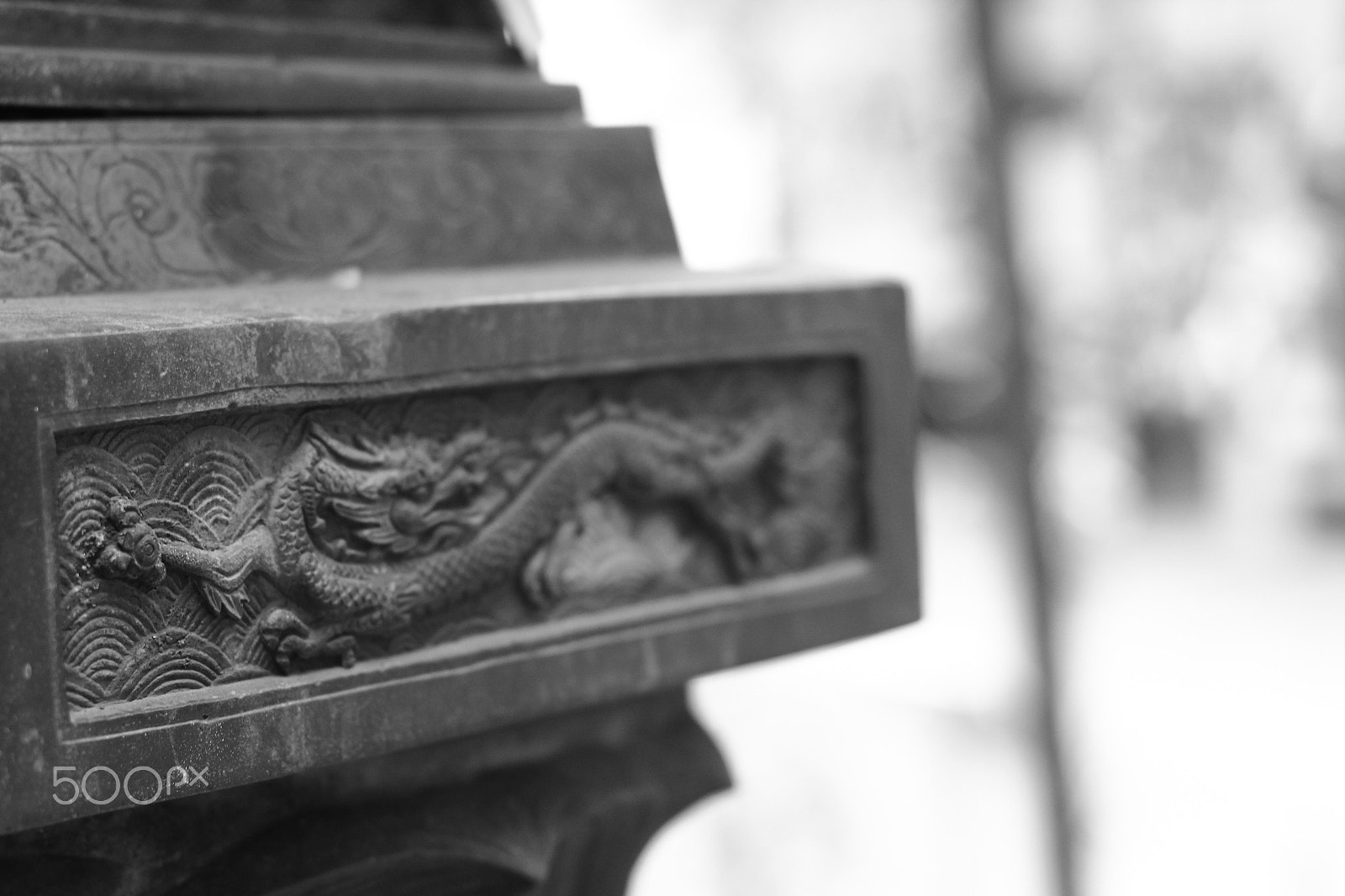 Canon EOS 60D + Canon EF 50mm F1.4 USM sample photo. Dragon photography
