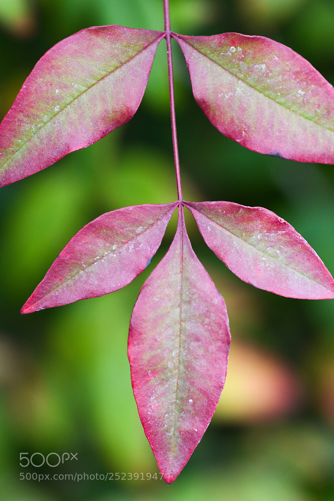 Nikon D7500 sample photo. Edited photography