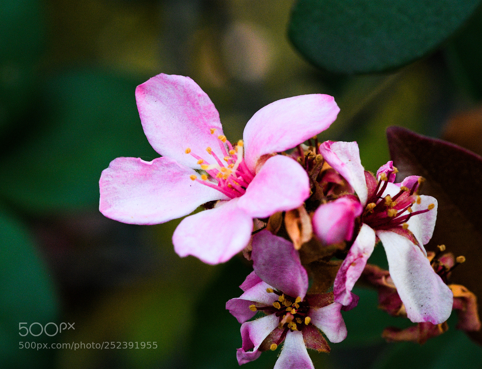 Nikon D7500 sample photo. Edited photography