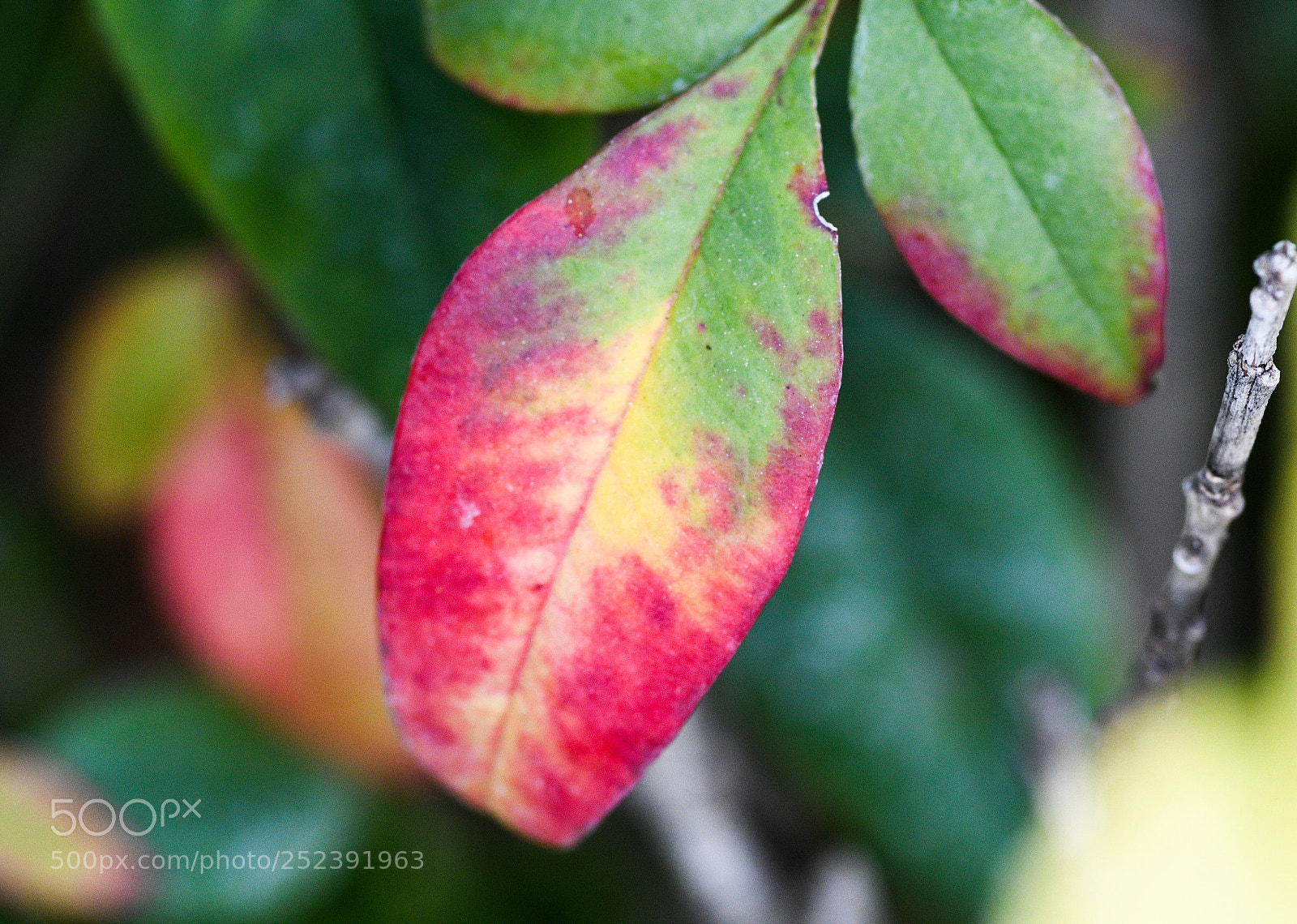 Nikon D7500 sample photo. Edited photography
