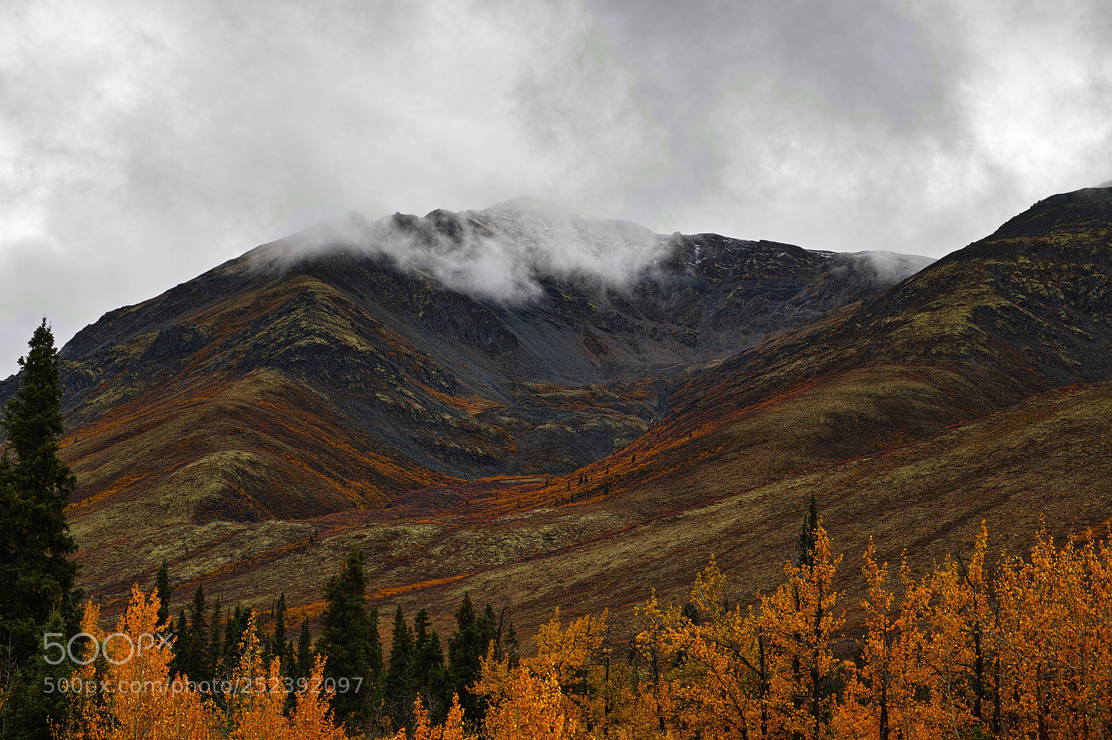 Sigma DP3 Merrill sample photo. Mountains in tundra photography