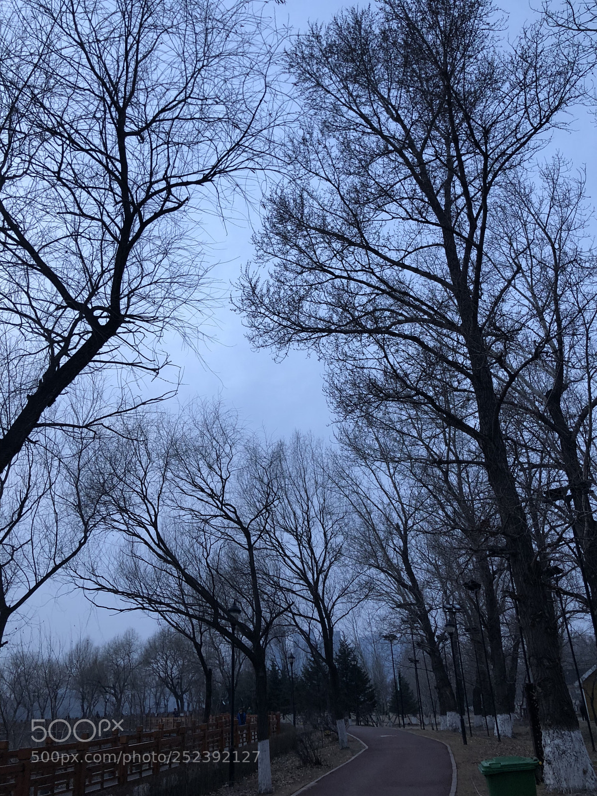 Apple iPhone X sample photo. The night of urban photography