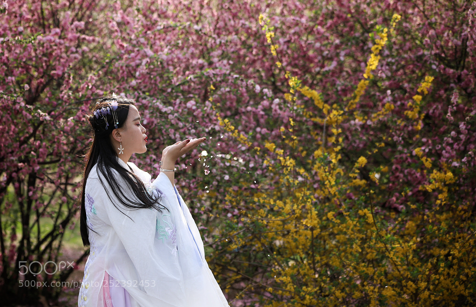 Canon EOS 6D Mark II sample photo. 女孩与花瓣 photography