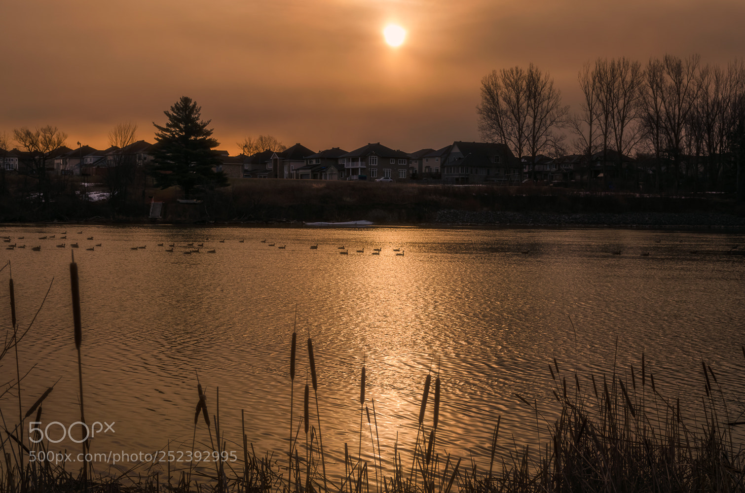 Nikon D5100 sample photo. Early spring sunrise photography
