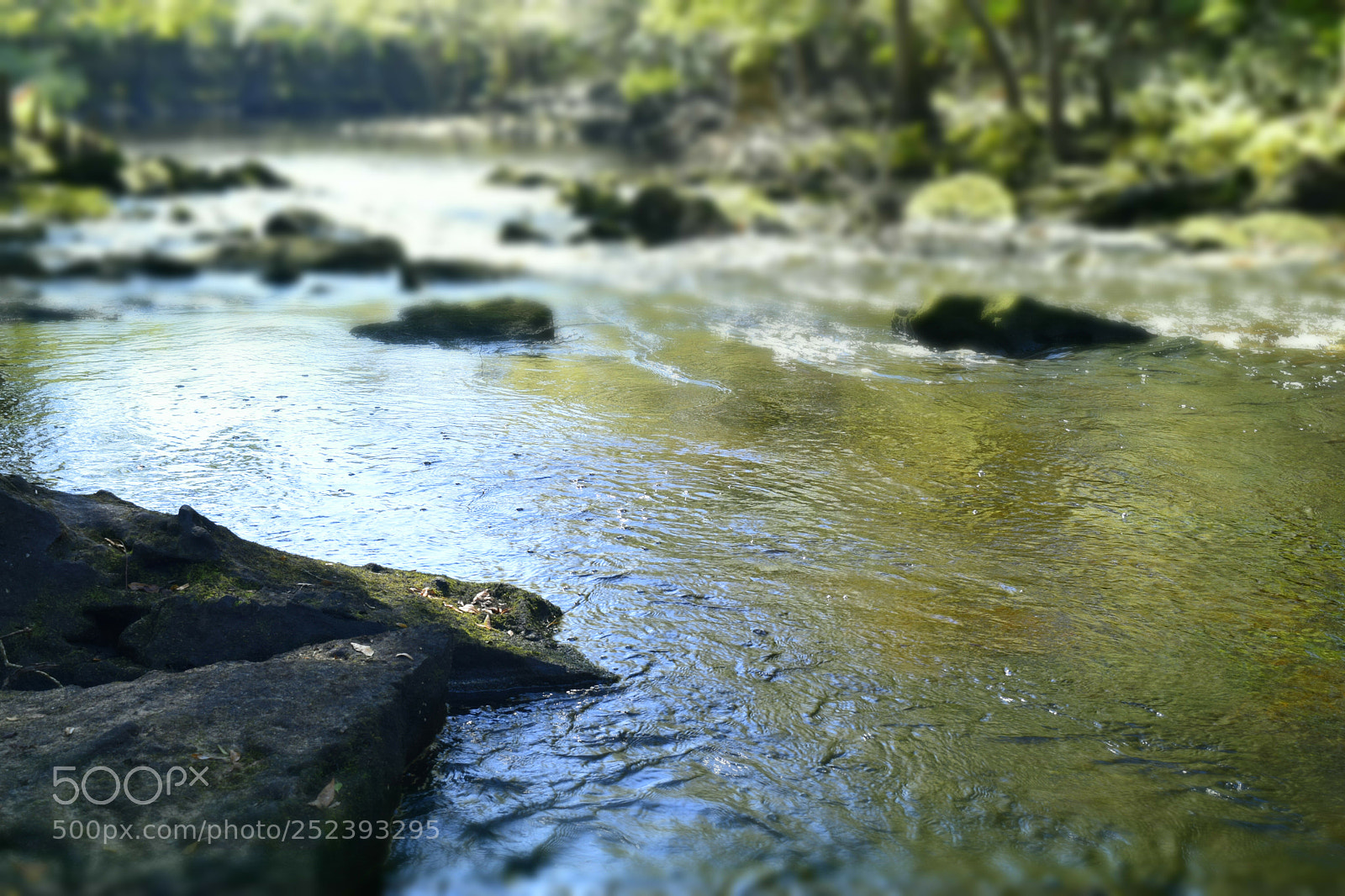 Nikon D3300 sample photo. Rivers surface photography