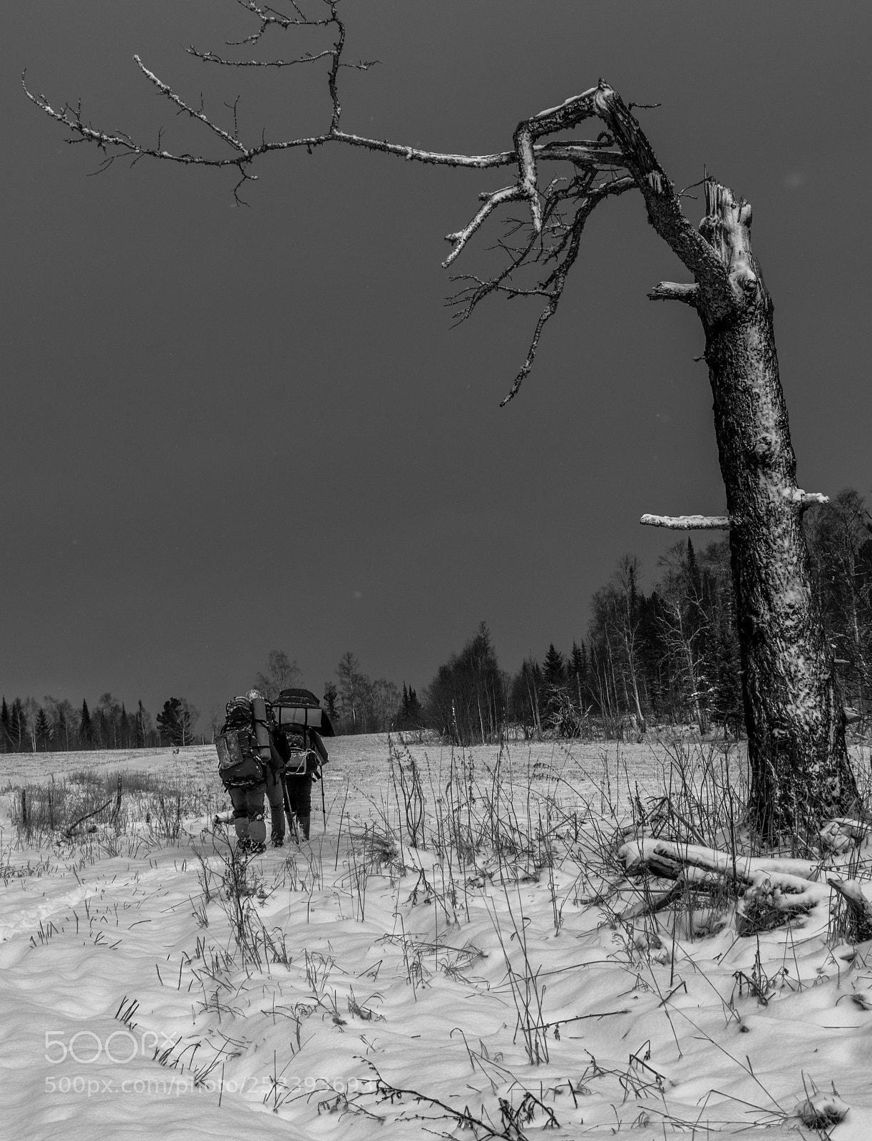 Nikon D3300 sample photo. Untitled photography