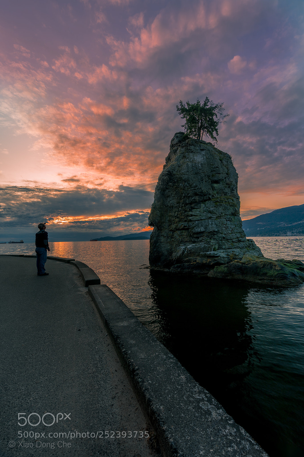 Sony a9 sample photo. Sunset at stanley park photography