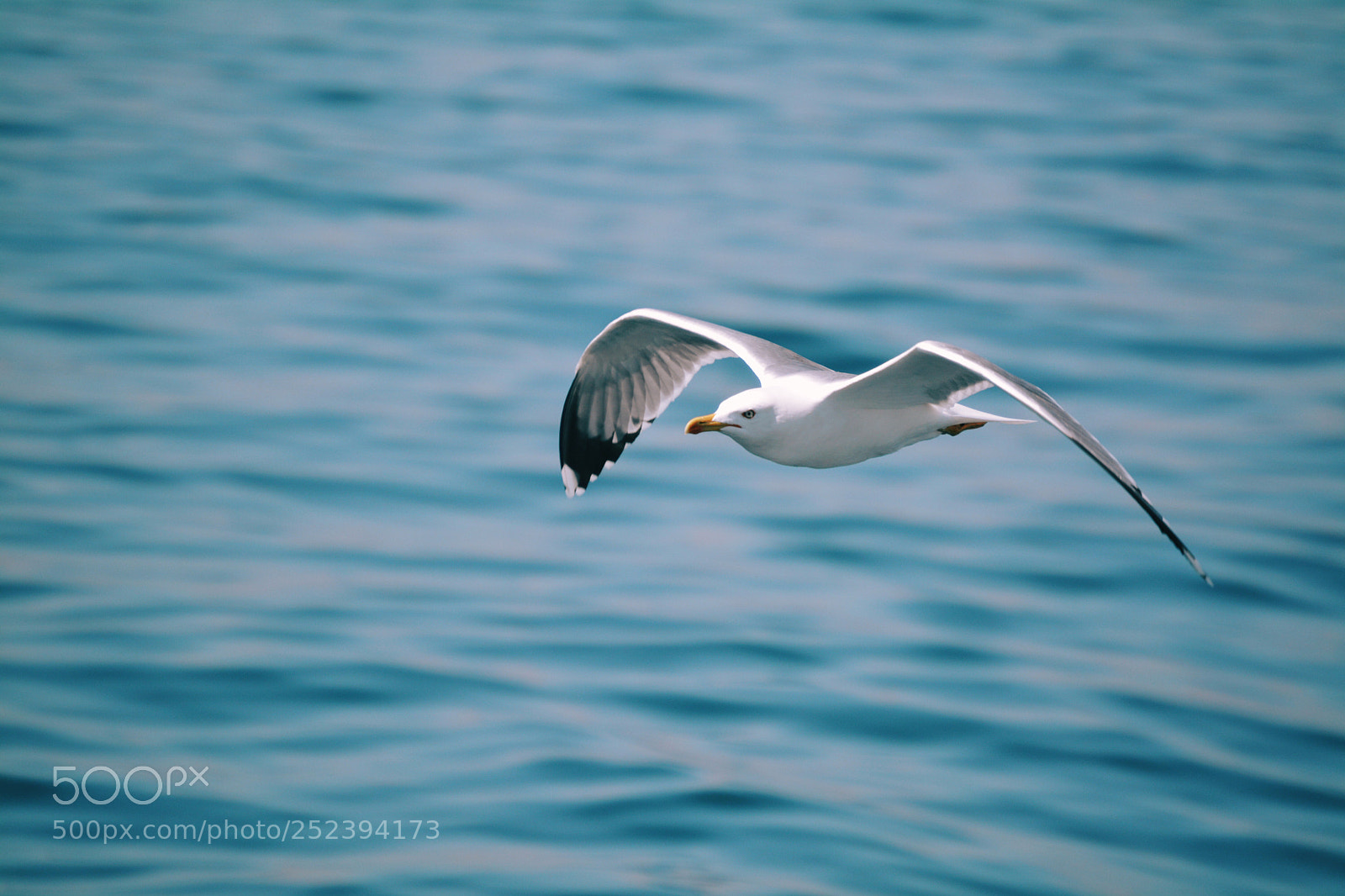 Nikon D5200 sample photo. Untitled photography