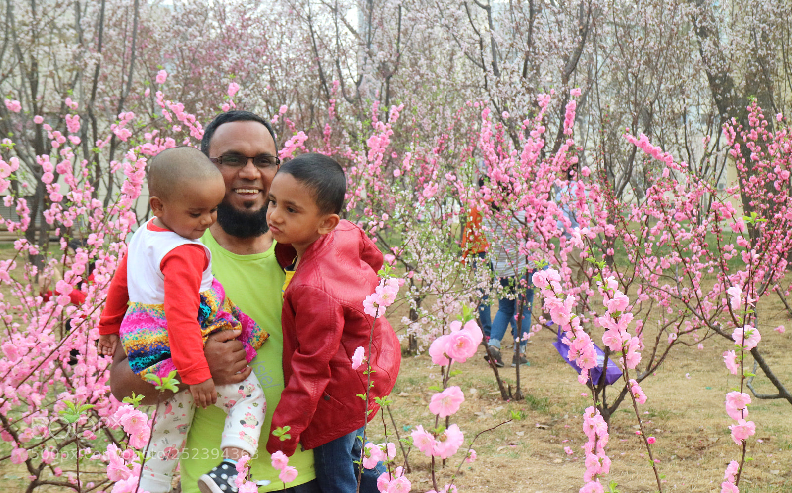 Canon EOS M3 sample photo. 乱花渐入迷人眼 photography