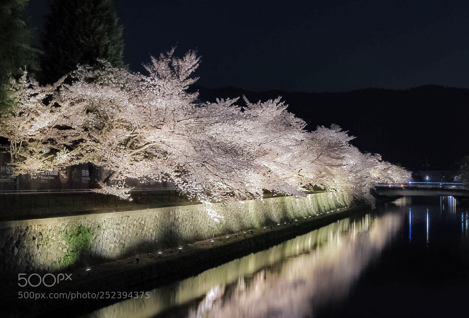 Nikon D7200 sample photo. 岡崎疏水 photography