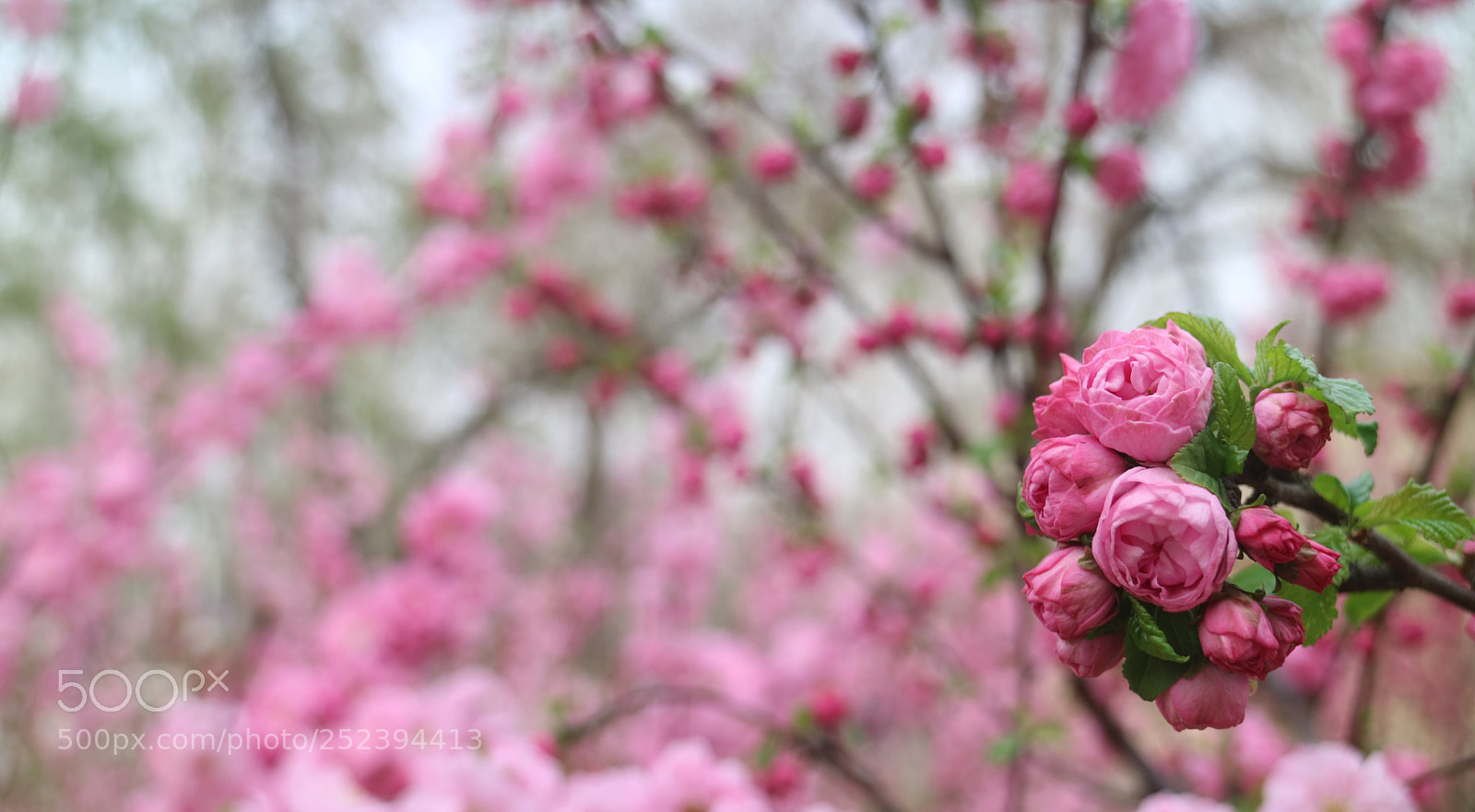 Canon EOS M3 sample photo. Img photography