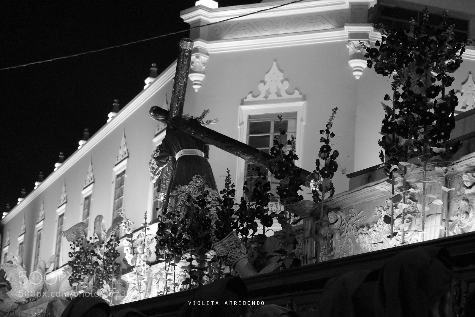 Nikon D5600 sample photo. Sigue mis pasos photography