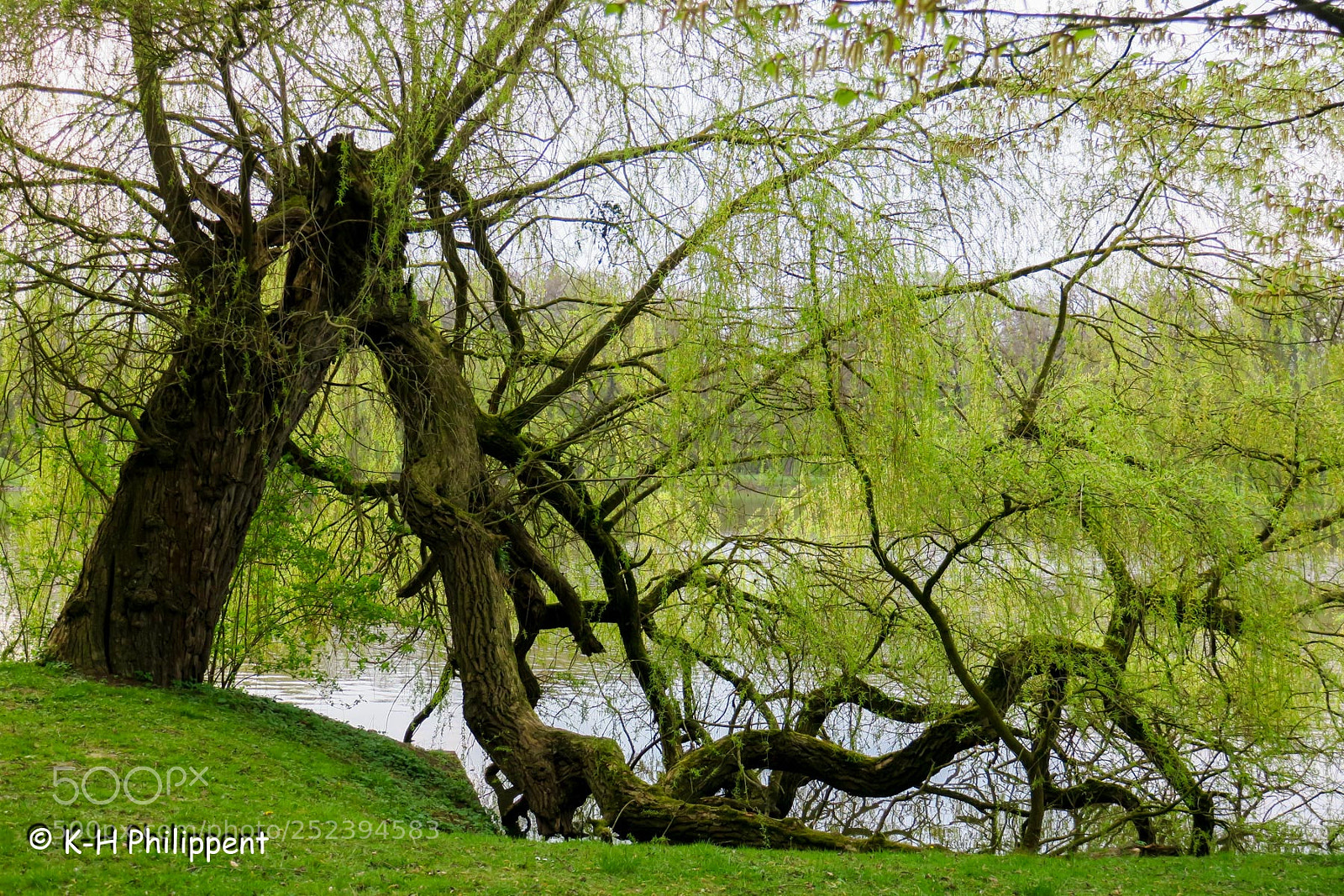 Canon PowerShot G3 X sample photo. Kassel germany , karlsaue photography