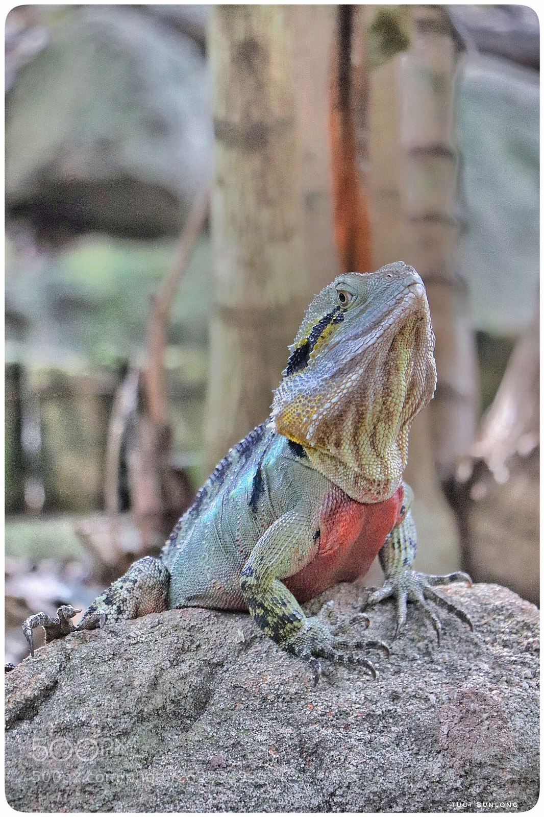 Canon EOS 77D (EOS 9000D / EOS 770D) sample photo. Untitled photography