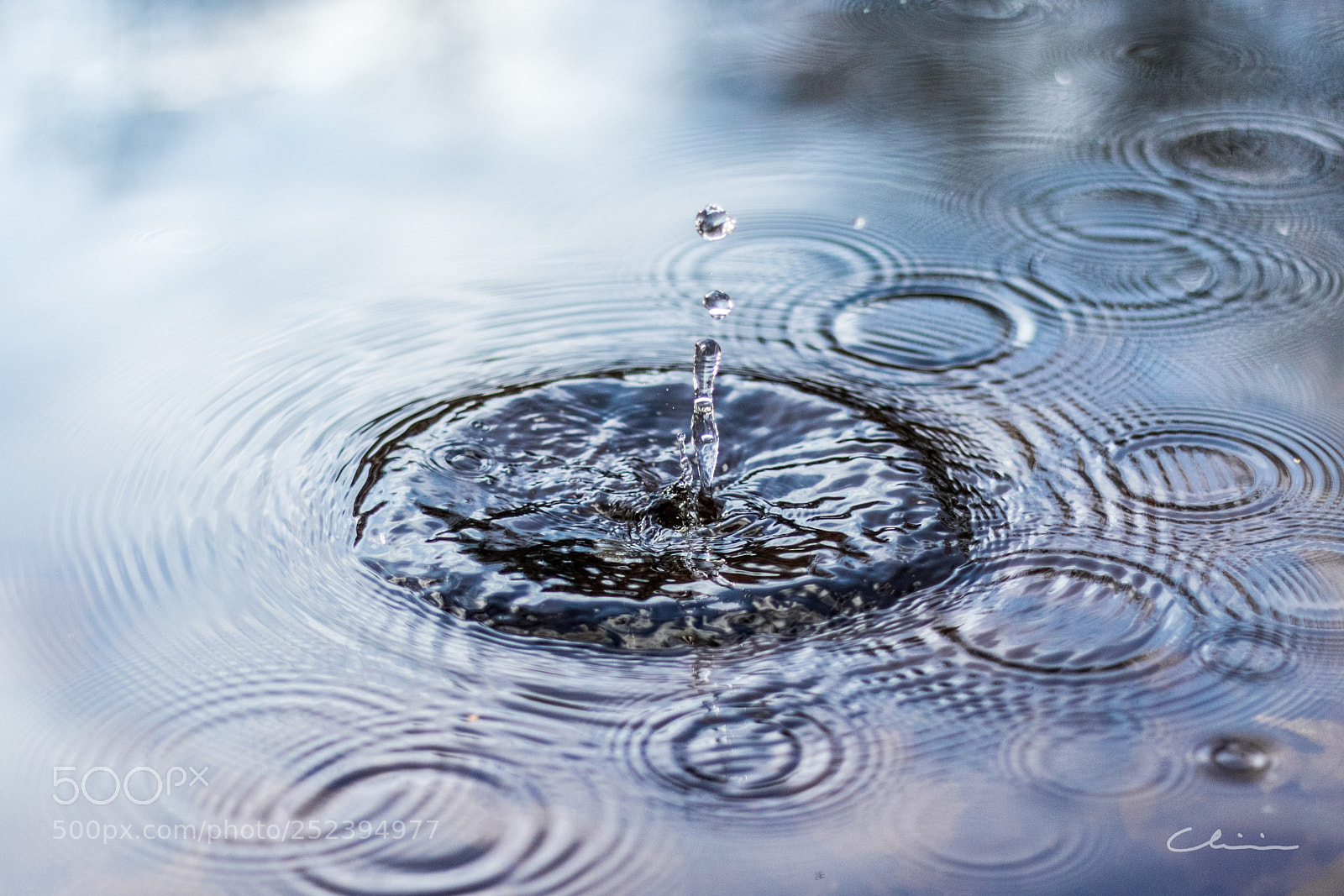Canon EOS 750D (EOS Rebel T6i / EOS Kiss X8i) sample photo. Droplet photography
