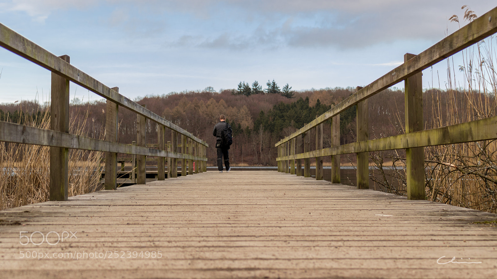 Canon EOS 750D (EOS Rebel T6i / EOS Kiss X8i) sample photo. Brother on a bridge photography
