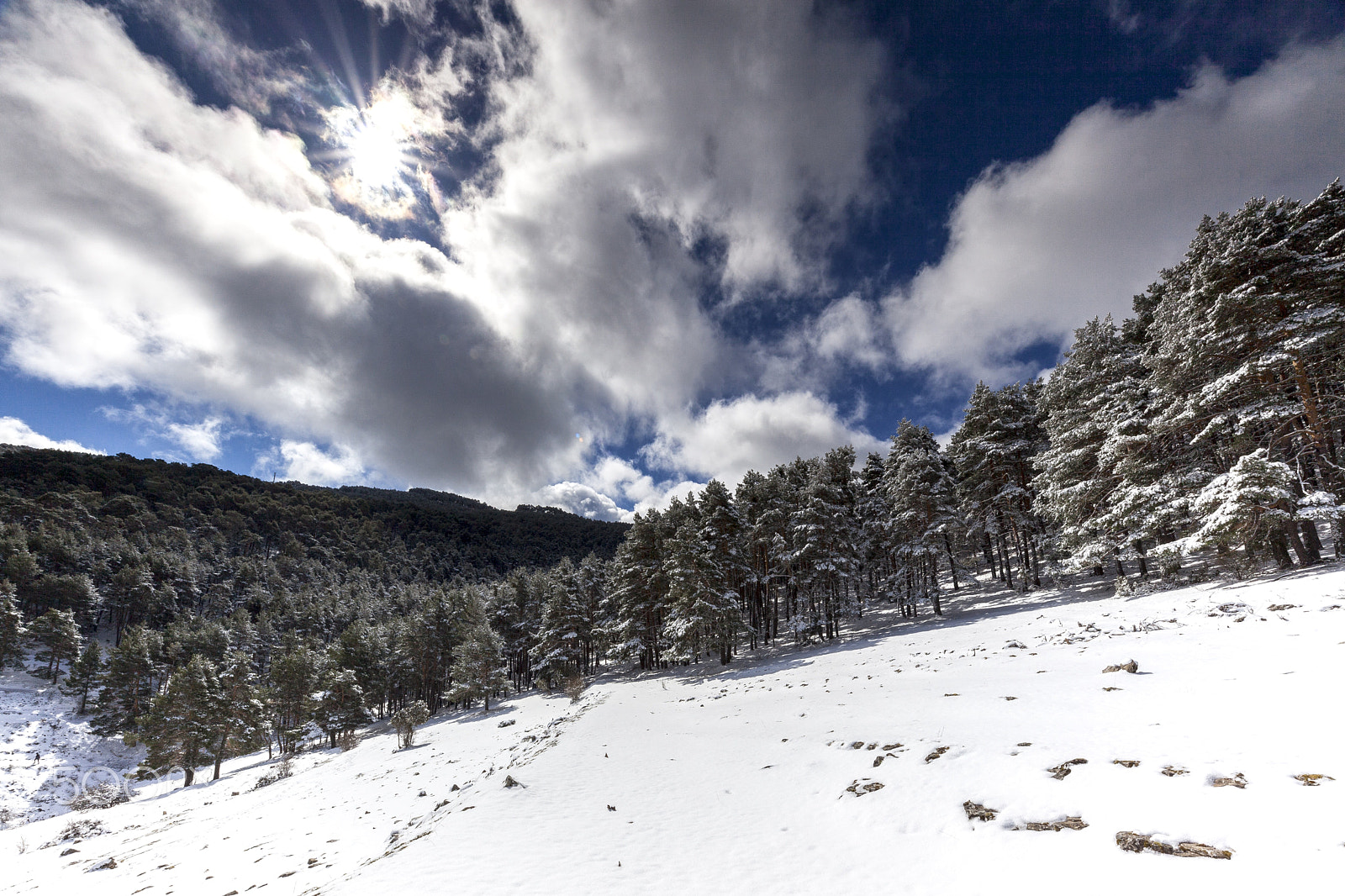 Canon EOS 5D Mark II sample photo. Untitled photography