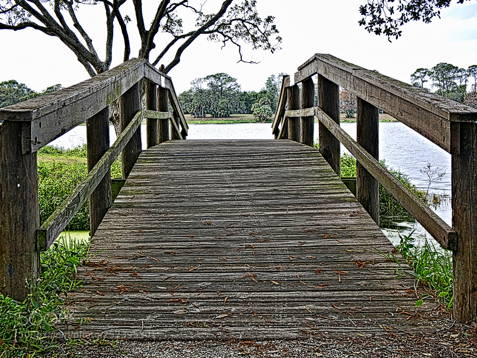 Panasonic Lumix DMC-G85 (Lumix DMC-G80) sample photo. The bridge photography