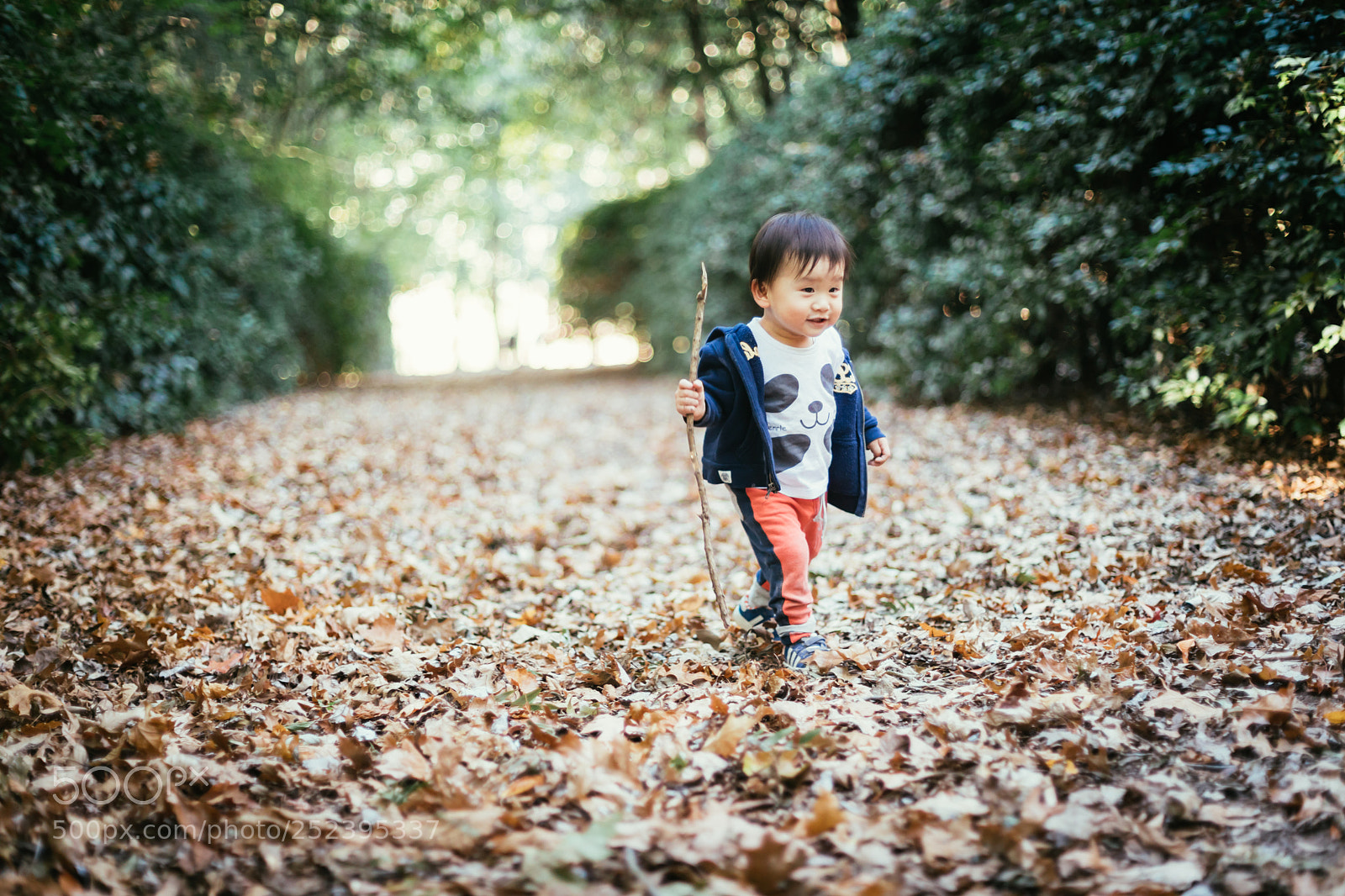 Canon EOS 5D Mark IV sample photo. I've a stick, i photography