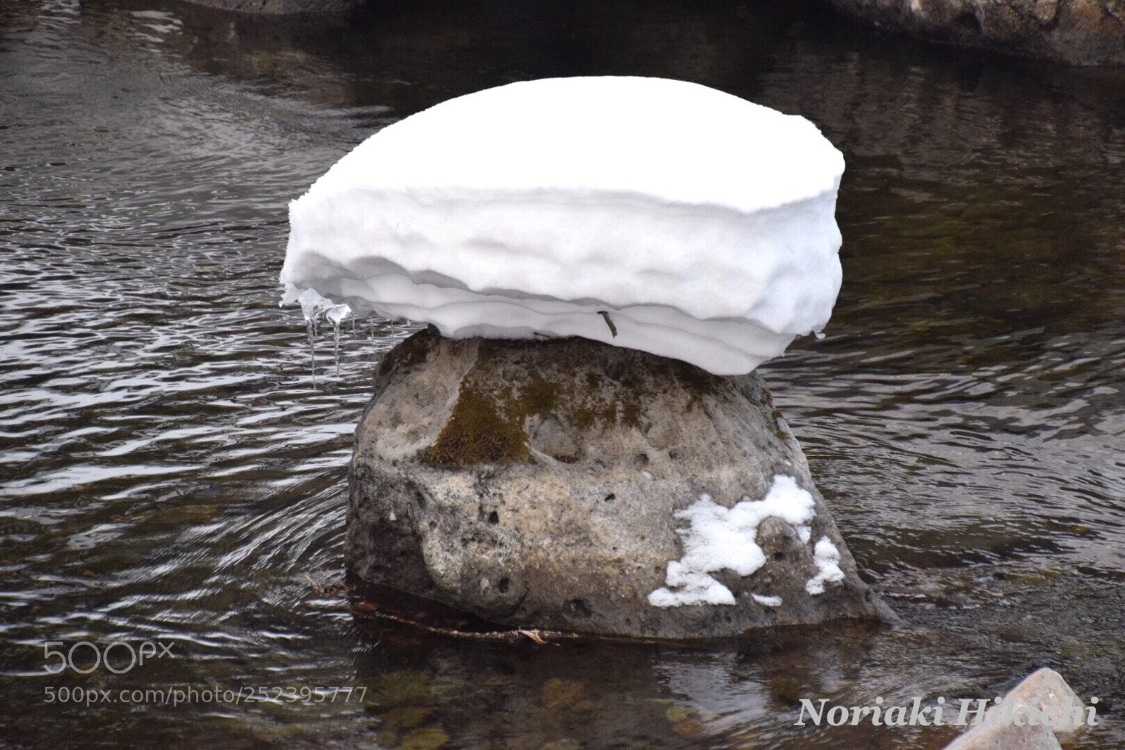 Nikon D5300 sample photo. Untitled photography