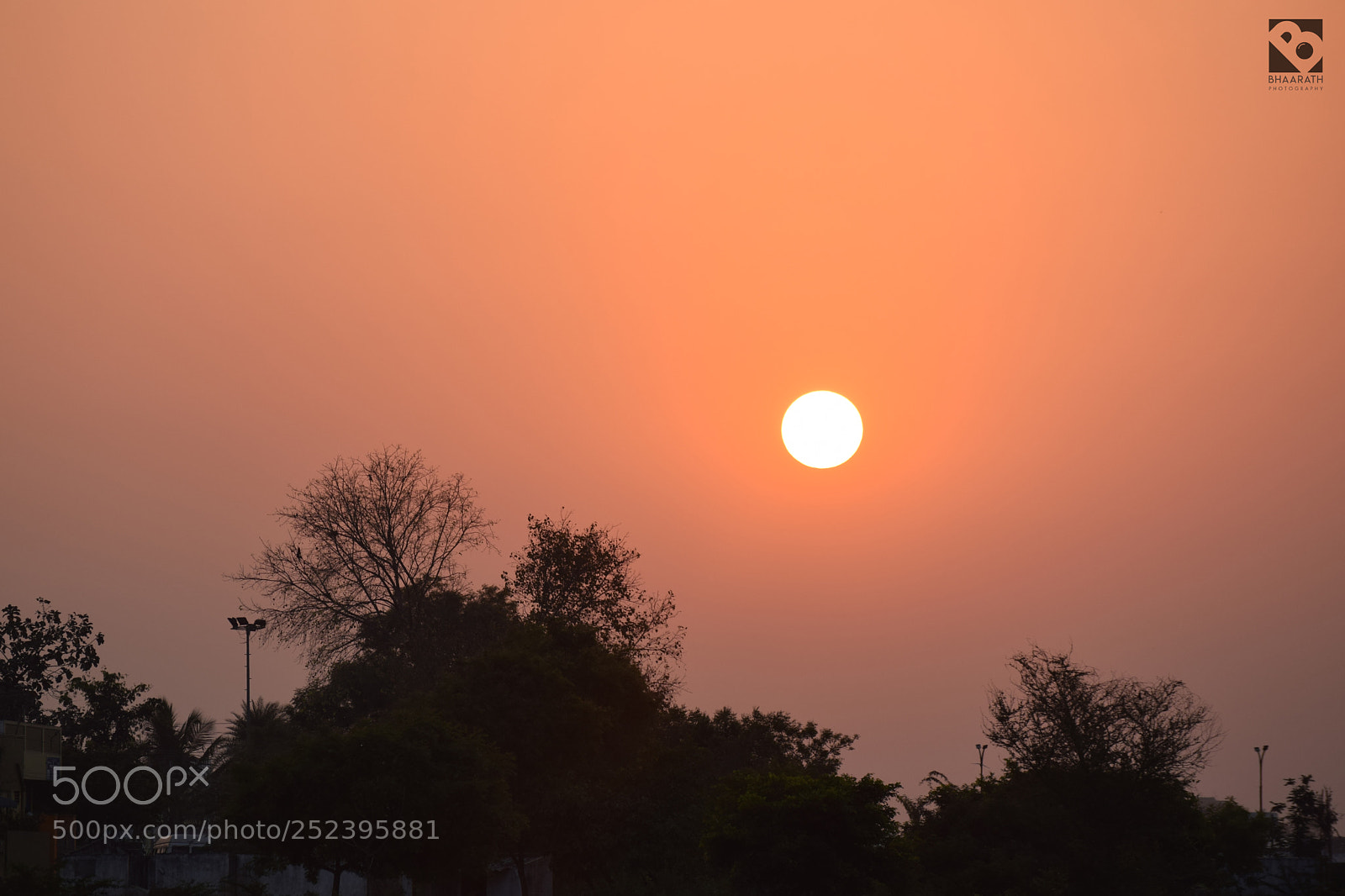 Nikon D3300 sample photo. Sun set time photography