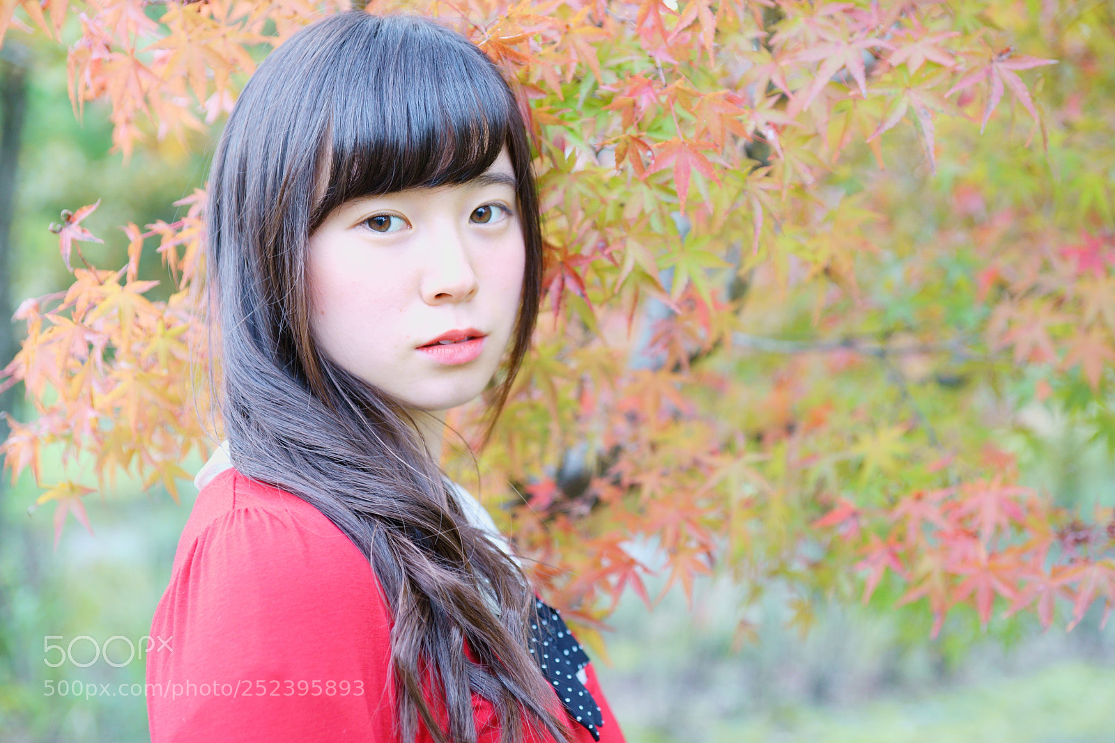 Sony a7R II sample photo. 石川 photography