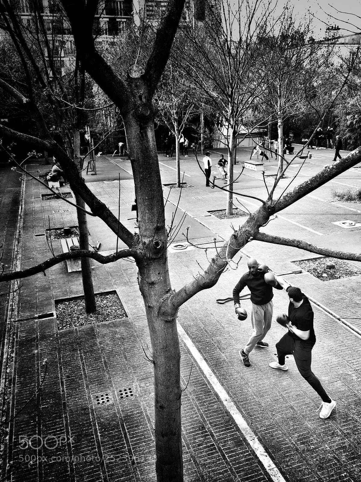Apple iPhone 6s sample photo. Boxing photography