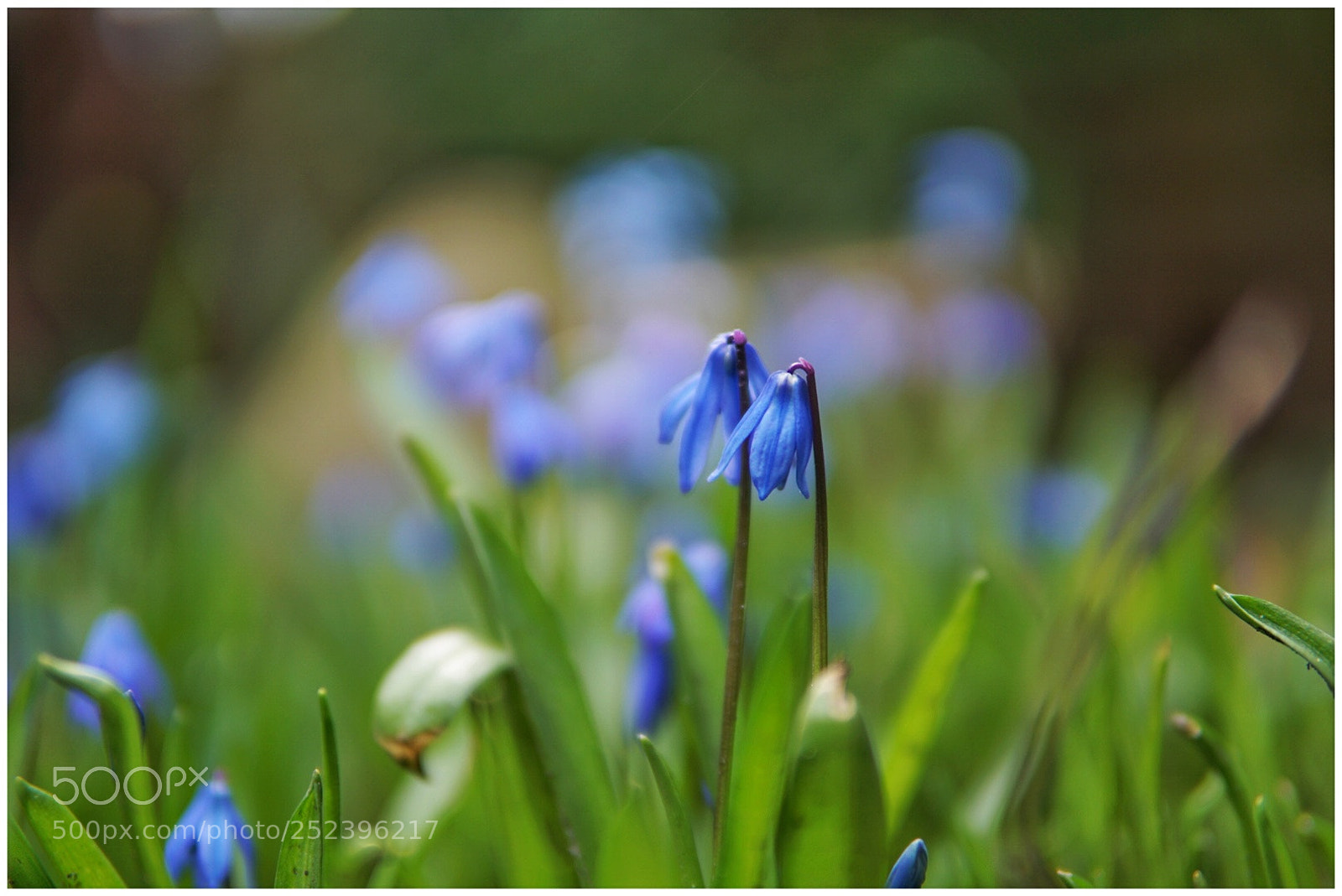 Sony a6000 sample photo. Time for colours photography