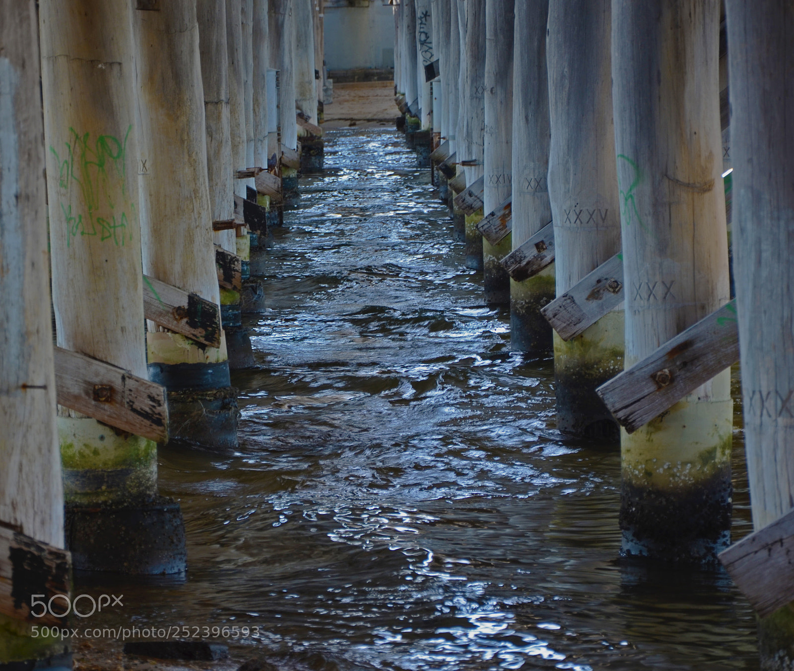 Nikon D7000 sample photo. Canning bridge photography