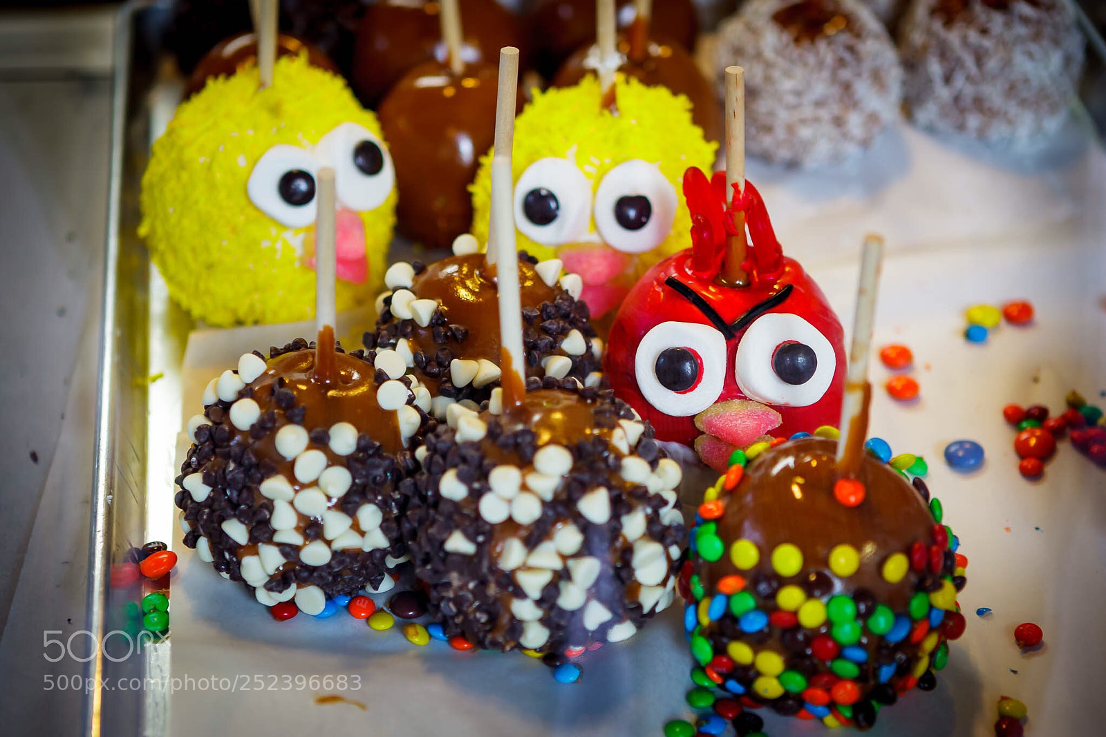 Canon EOS 5D Mark II sample photo. “me first”, angry bird. photography
