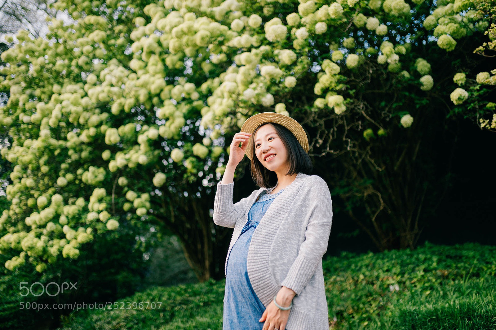 Canon EOS 5D Mark IV sample photo. Untitled photography