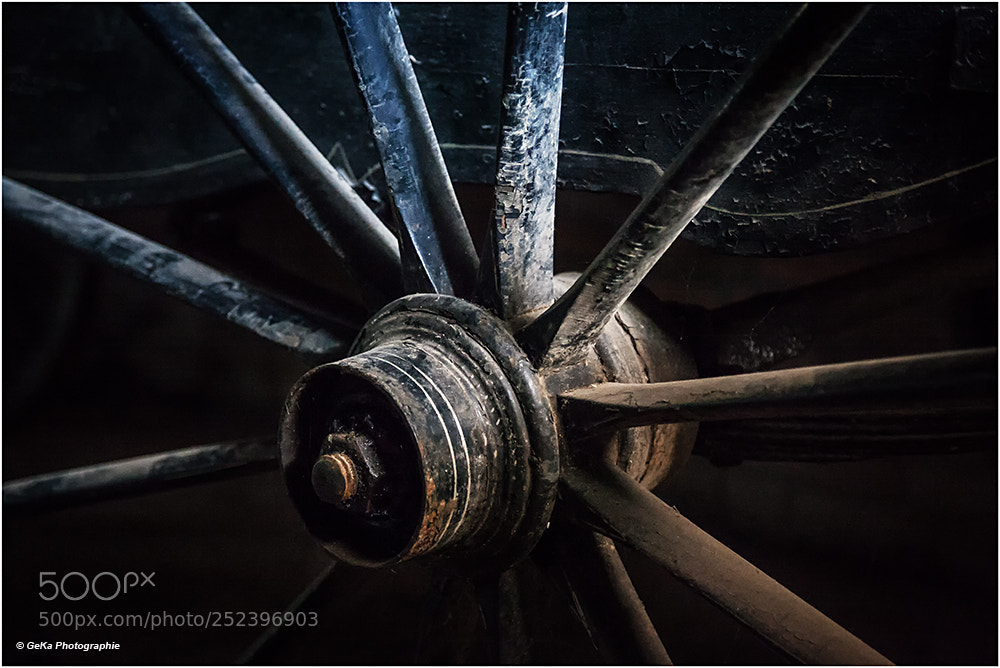 Canon EOS 5D Mark II sample photo. F r die letzte photography