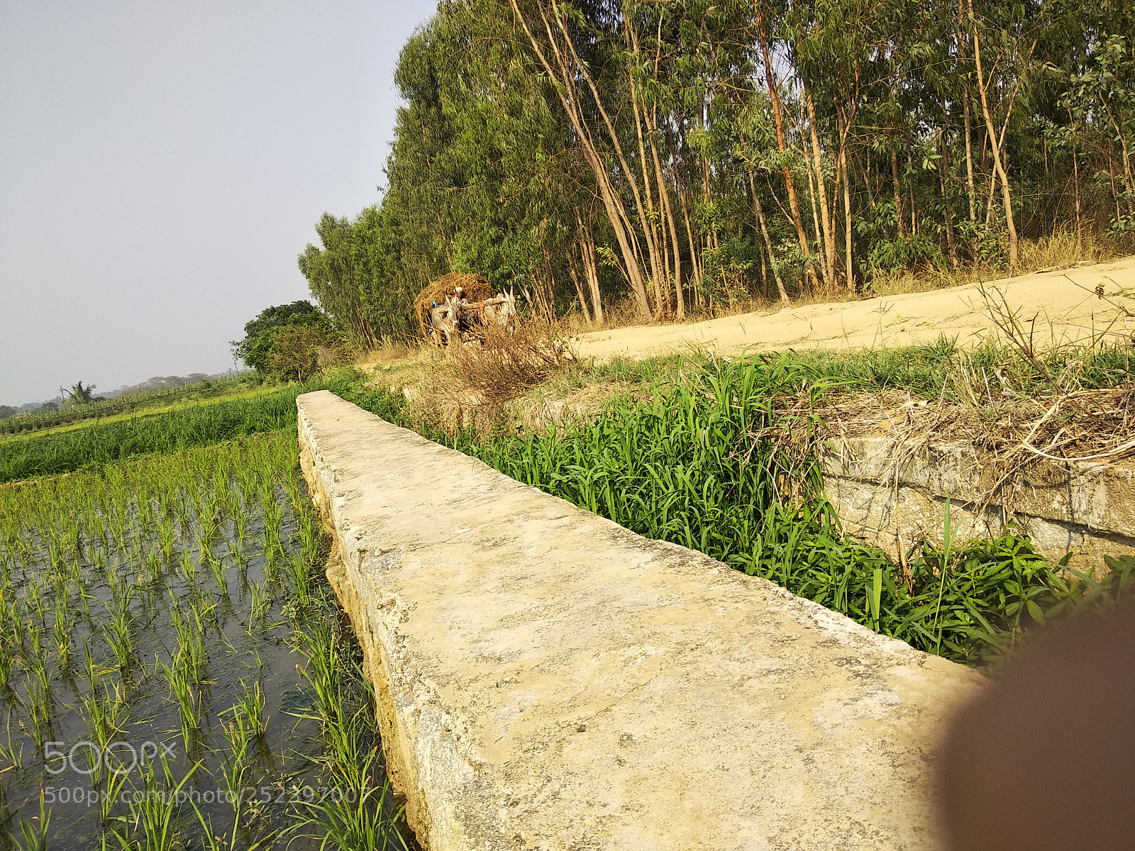 Xiaomi Redmi Note 5 sample photo. Untitled photography