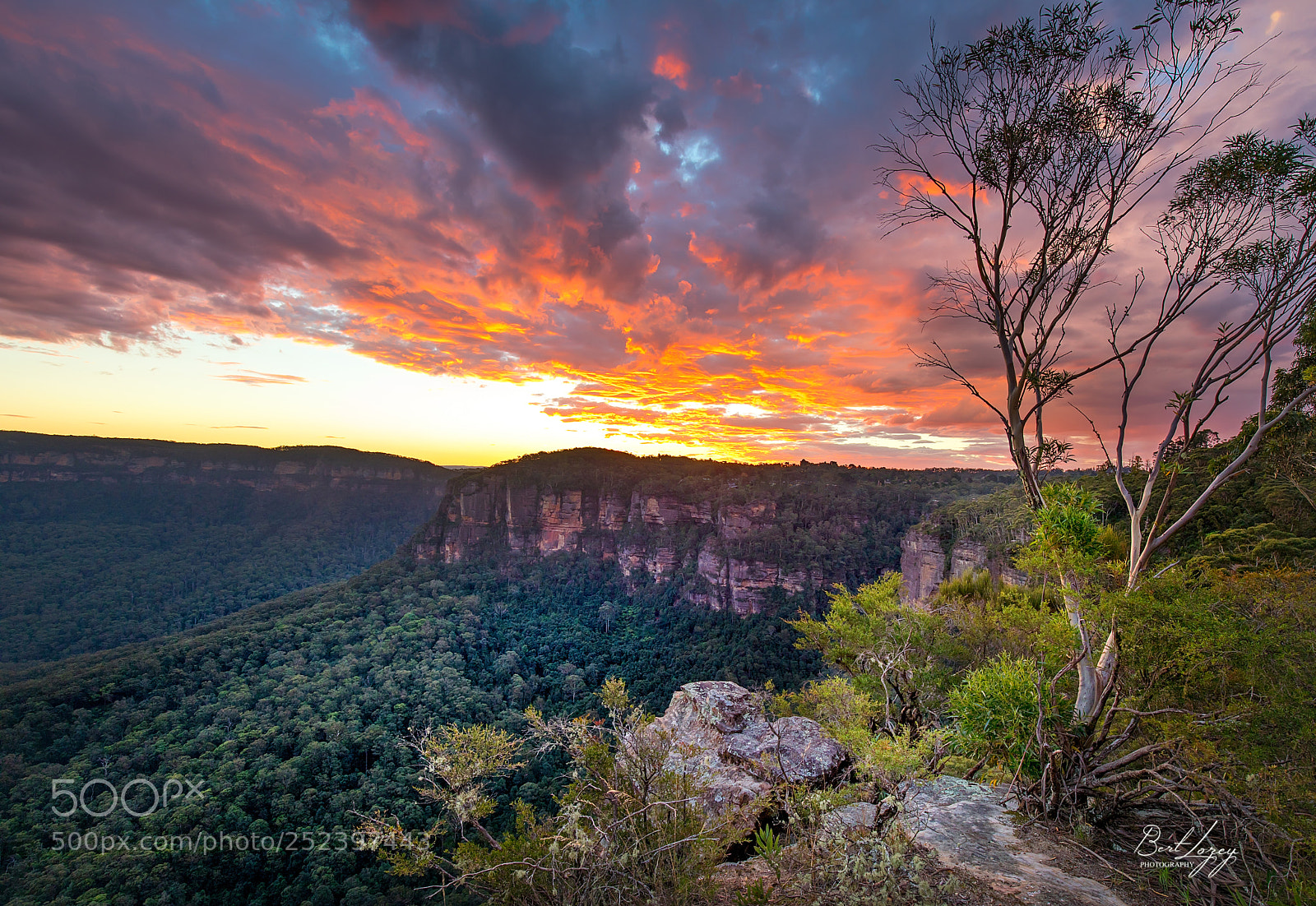 Canon EOS 5D Mark IV sample photo. Blue mountains after the photography