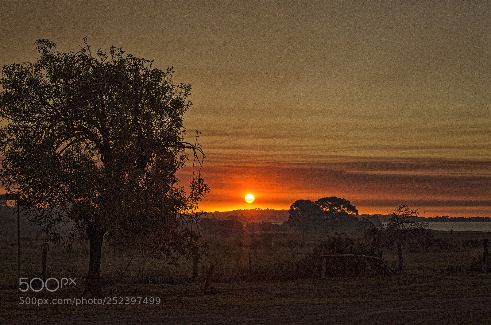 Nikon D7000 sample photo. Smokey colac sunset photography