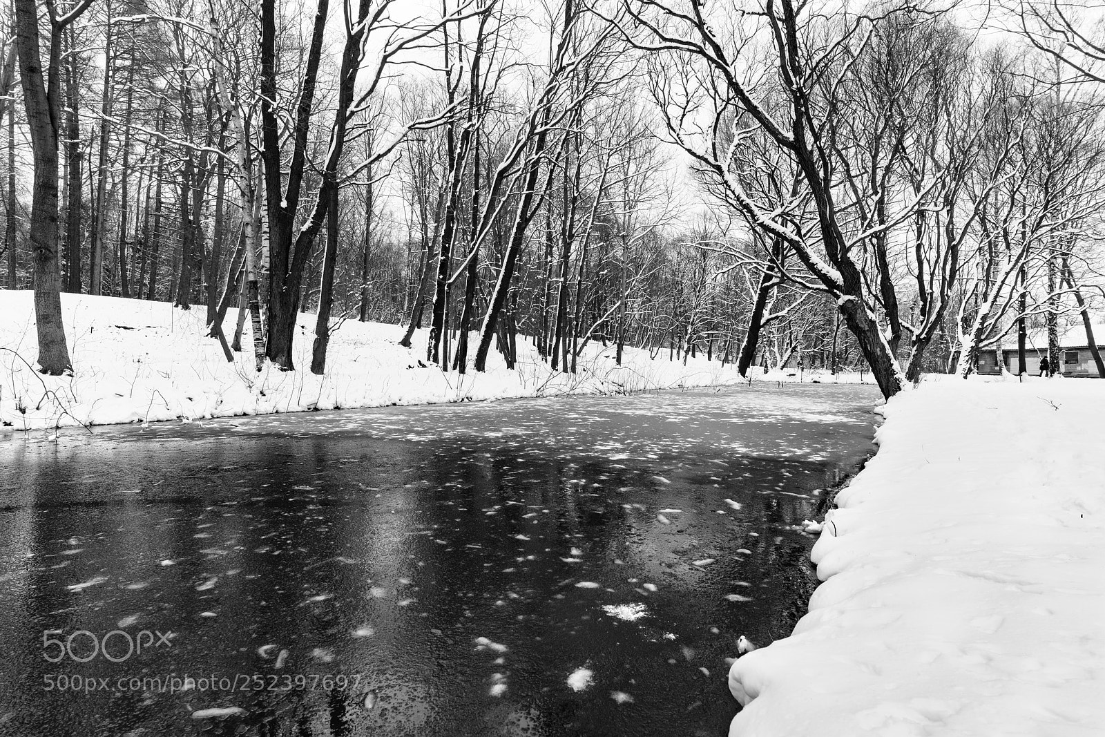 Sony a7R II sample photo. St. petersburg (water). photography