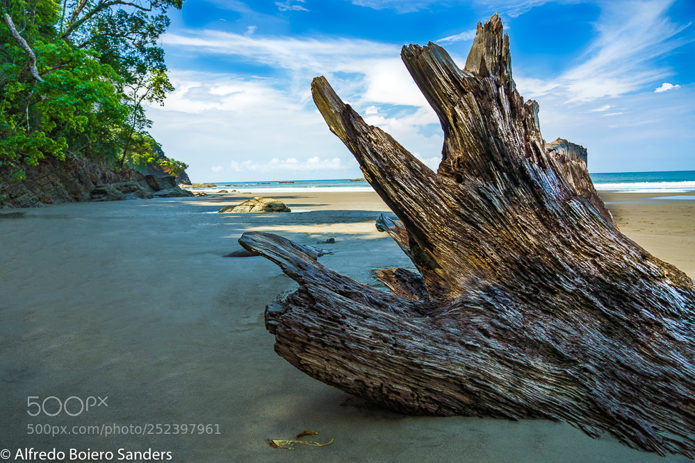 Sony a7R III sample photo. Uvita photography