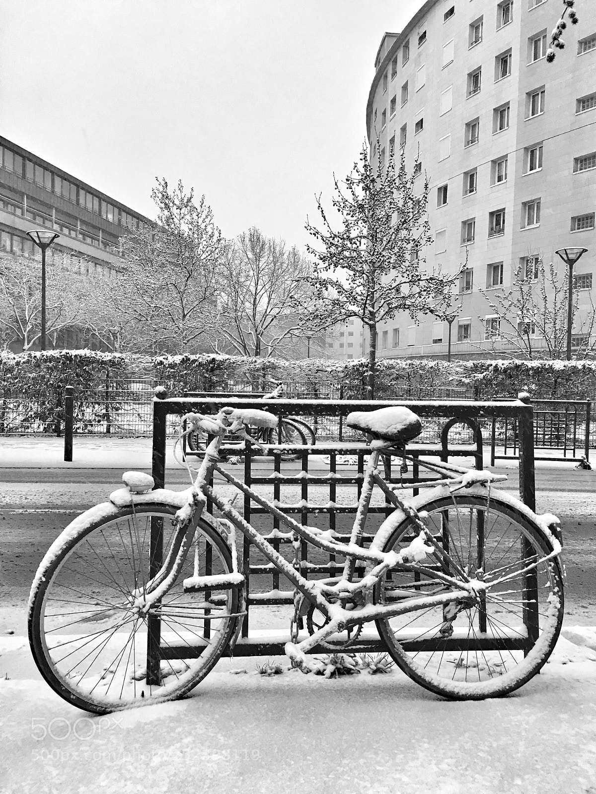 Apple iPhone 6s sample photo. Snow  photography