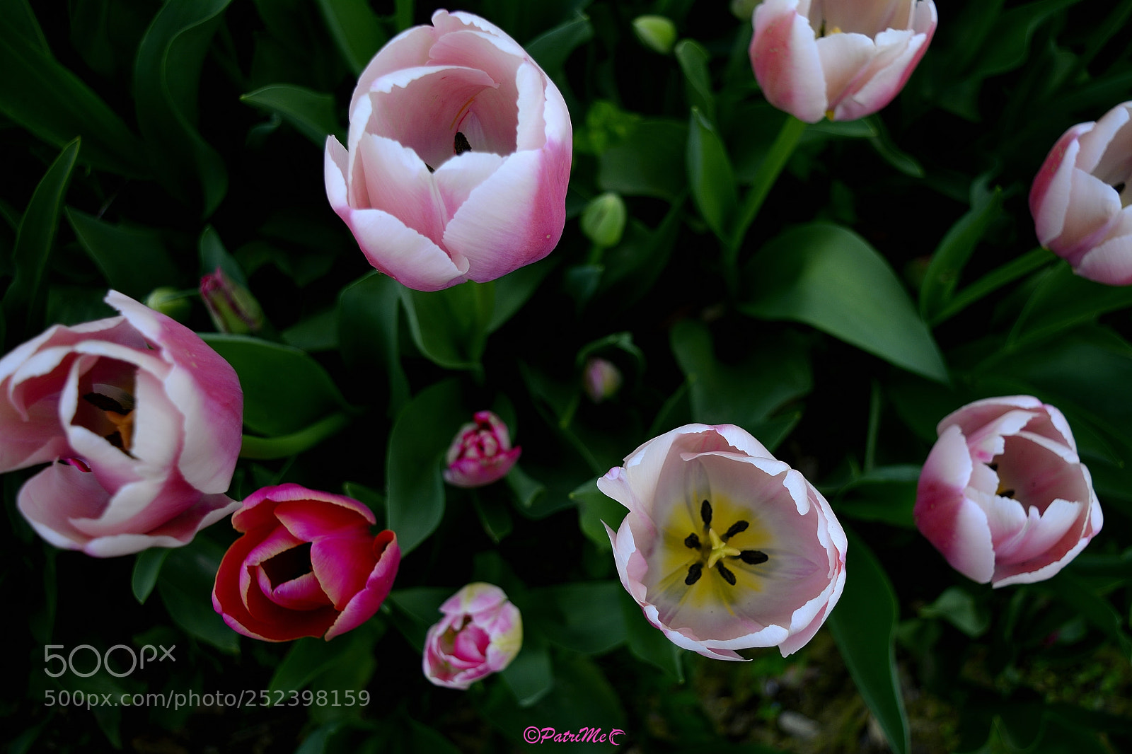 Nikon D5200 sample photo. Untitled photography