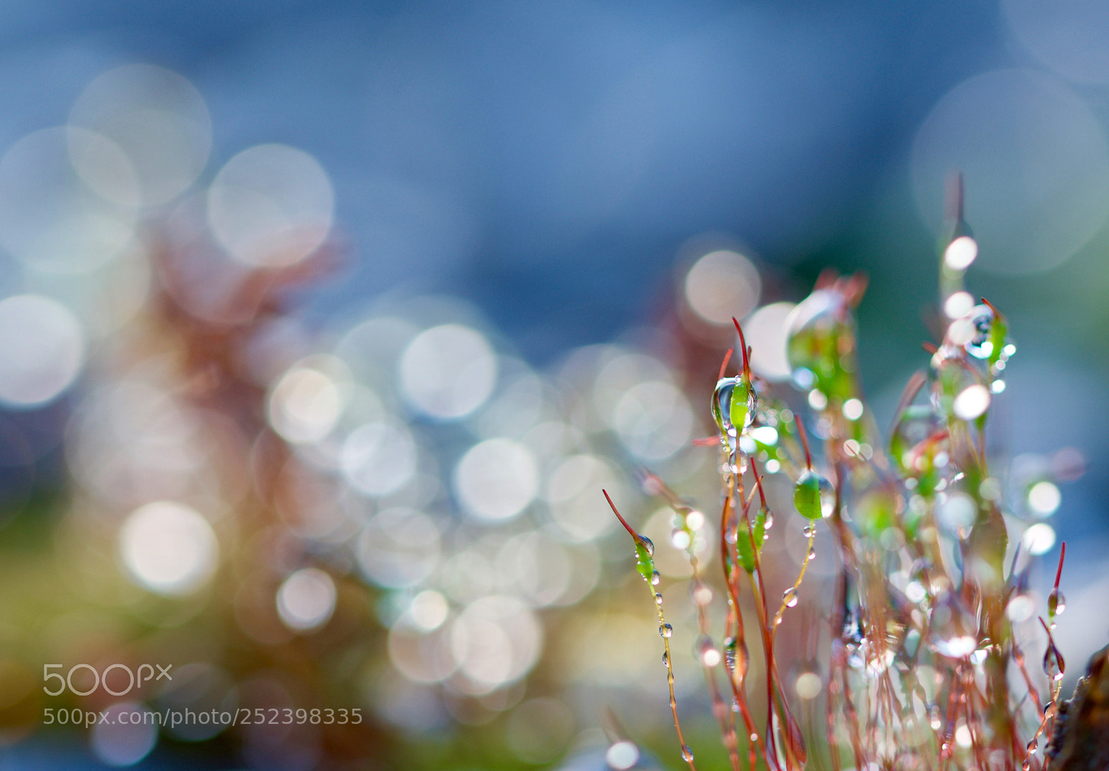 Nikon D500 sample photo. Couleurs  photography