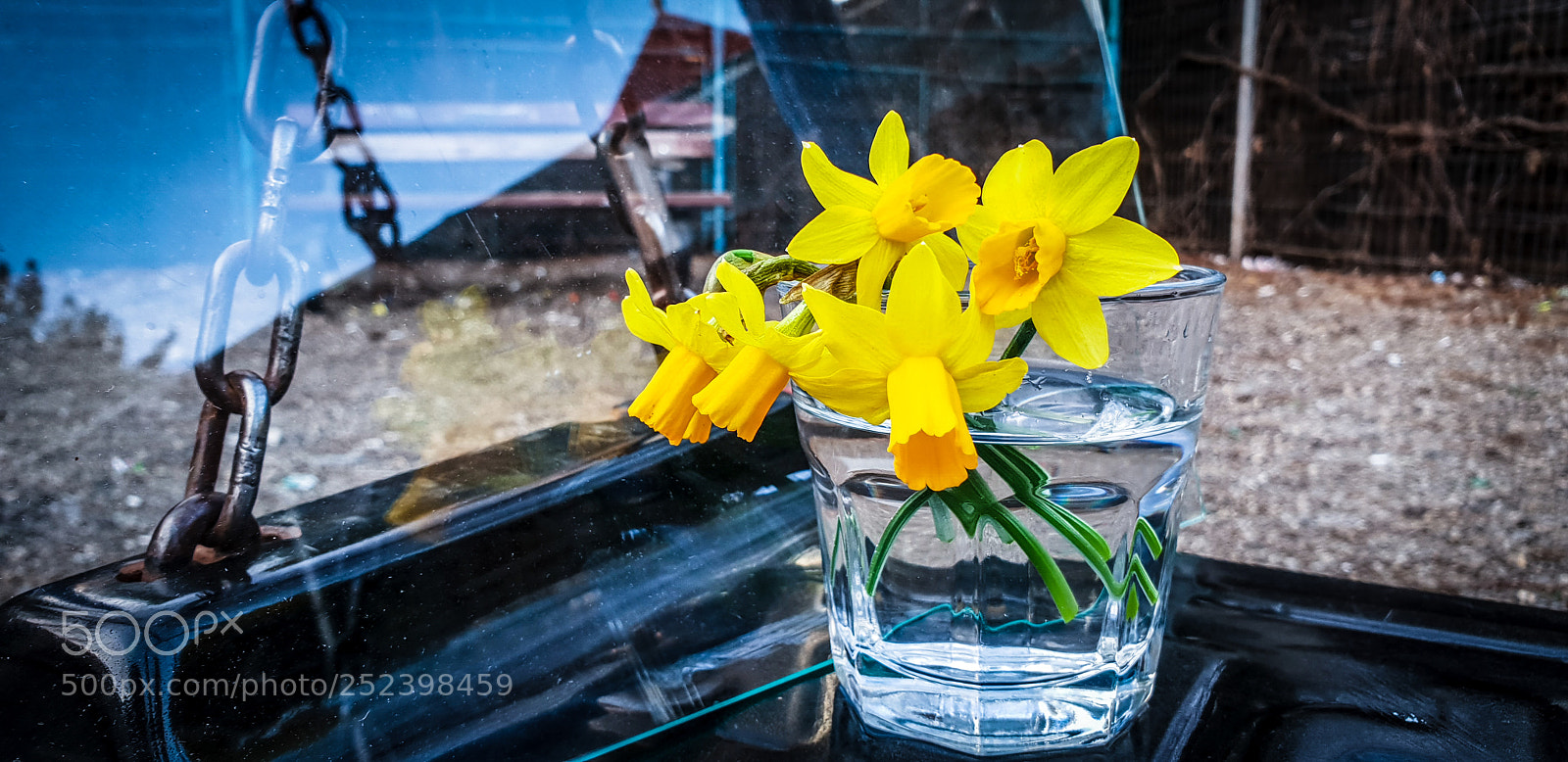 Samsung Galaxy S9+ sample photo. Untitled photography