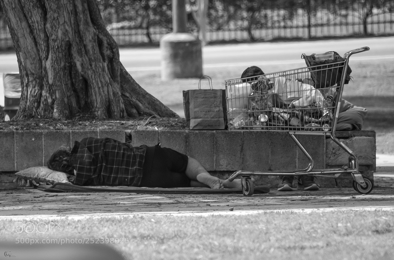 Nikon D7000 sample photo. Sleeping in the park 1 photography